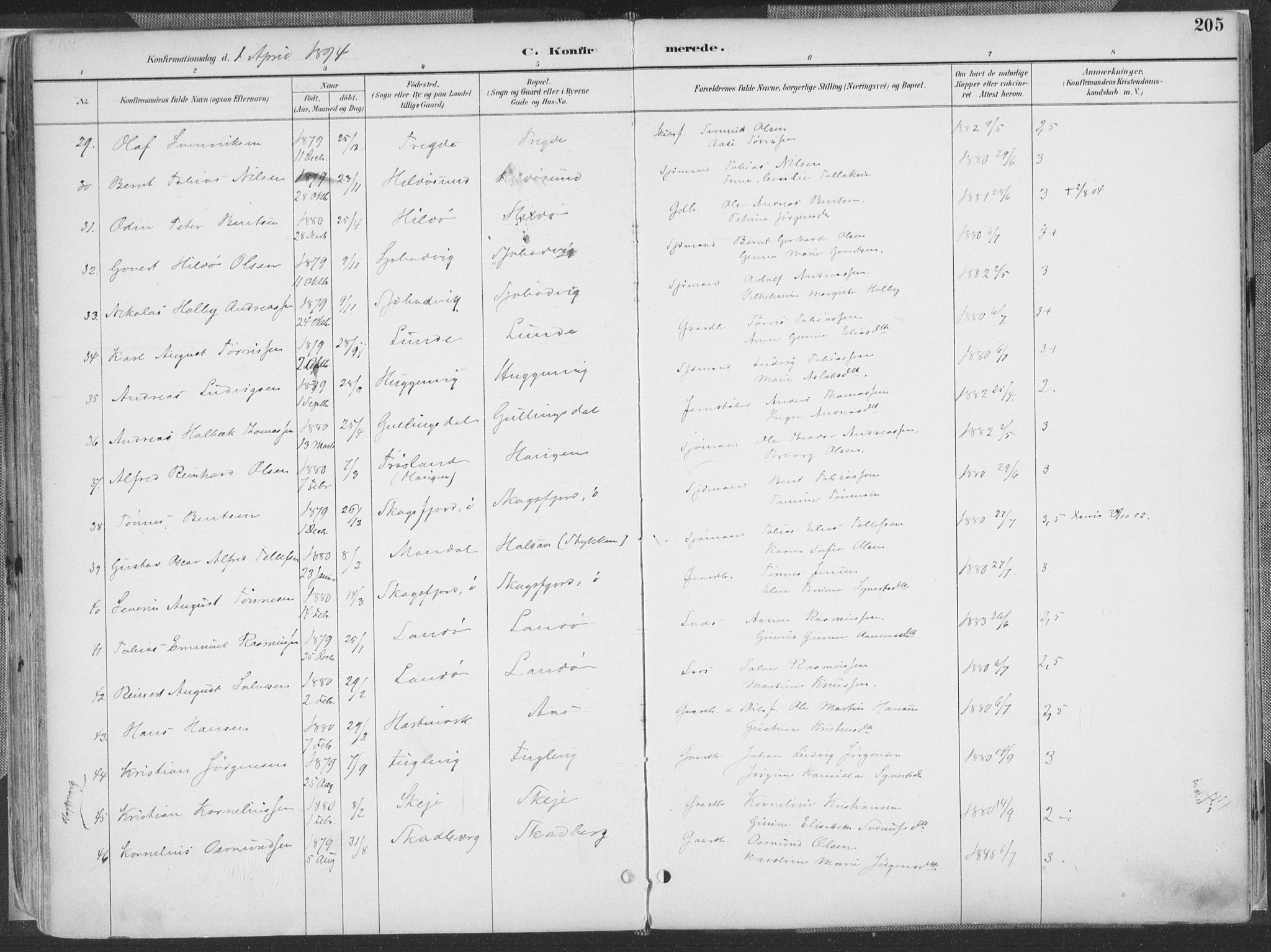 Mandal sokneprestkontor, AV/SAK-1111-0030/F/Fa/Faa/L0018: Parish register (official) no. A 18, 1890-1905, p. 205