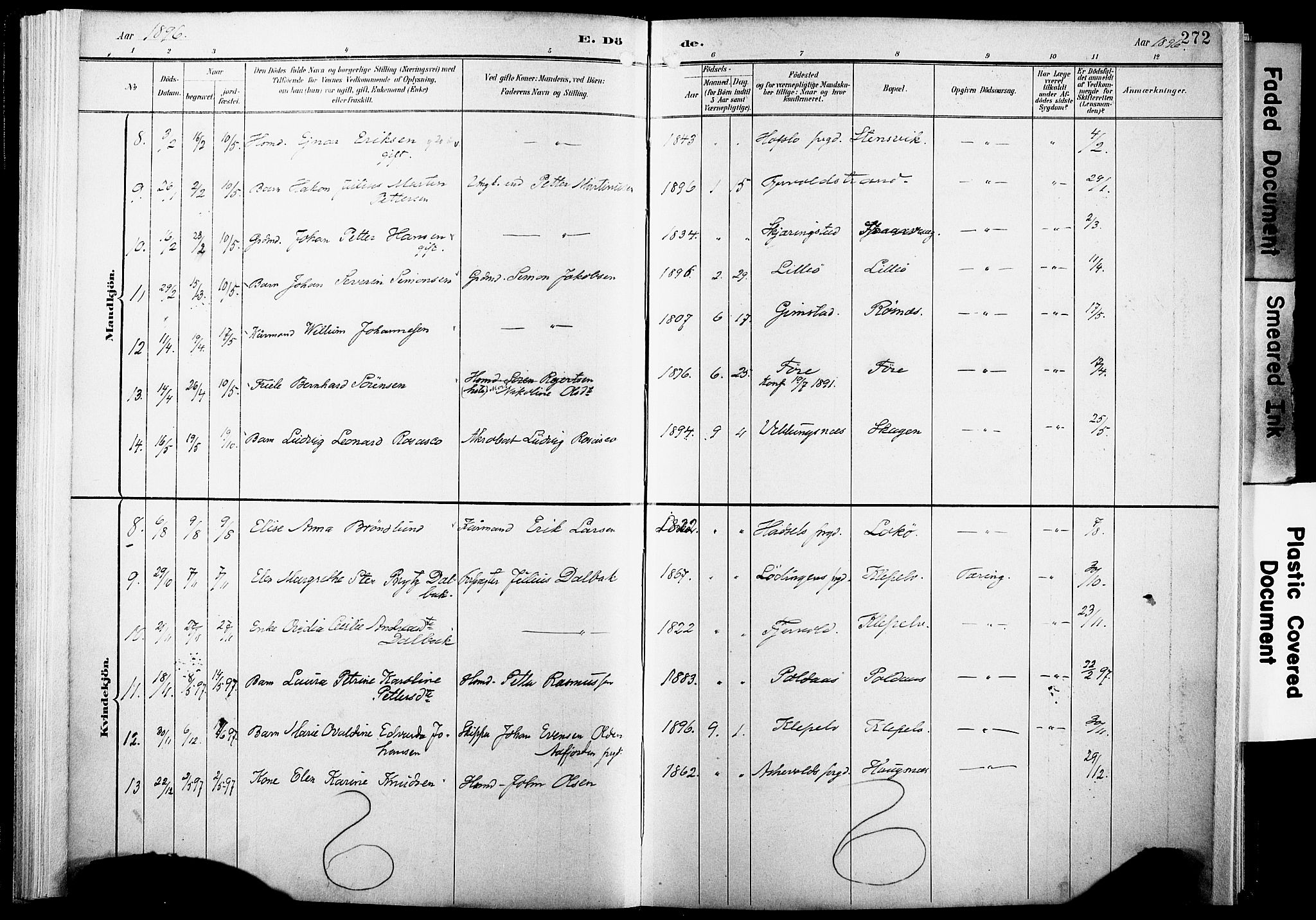 Ministerialprotokoller, klokkerbøker og fødselsregistre - Nordland, AV/SAT-A-1459/891/L1305: Parish register (official) no. 891A10, 1895-1921, p. 272