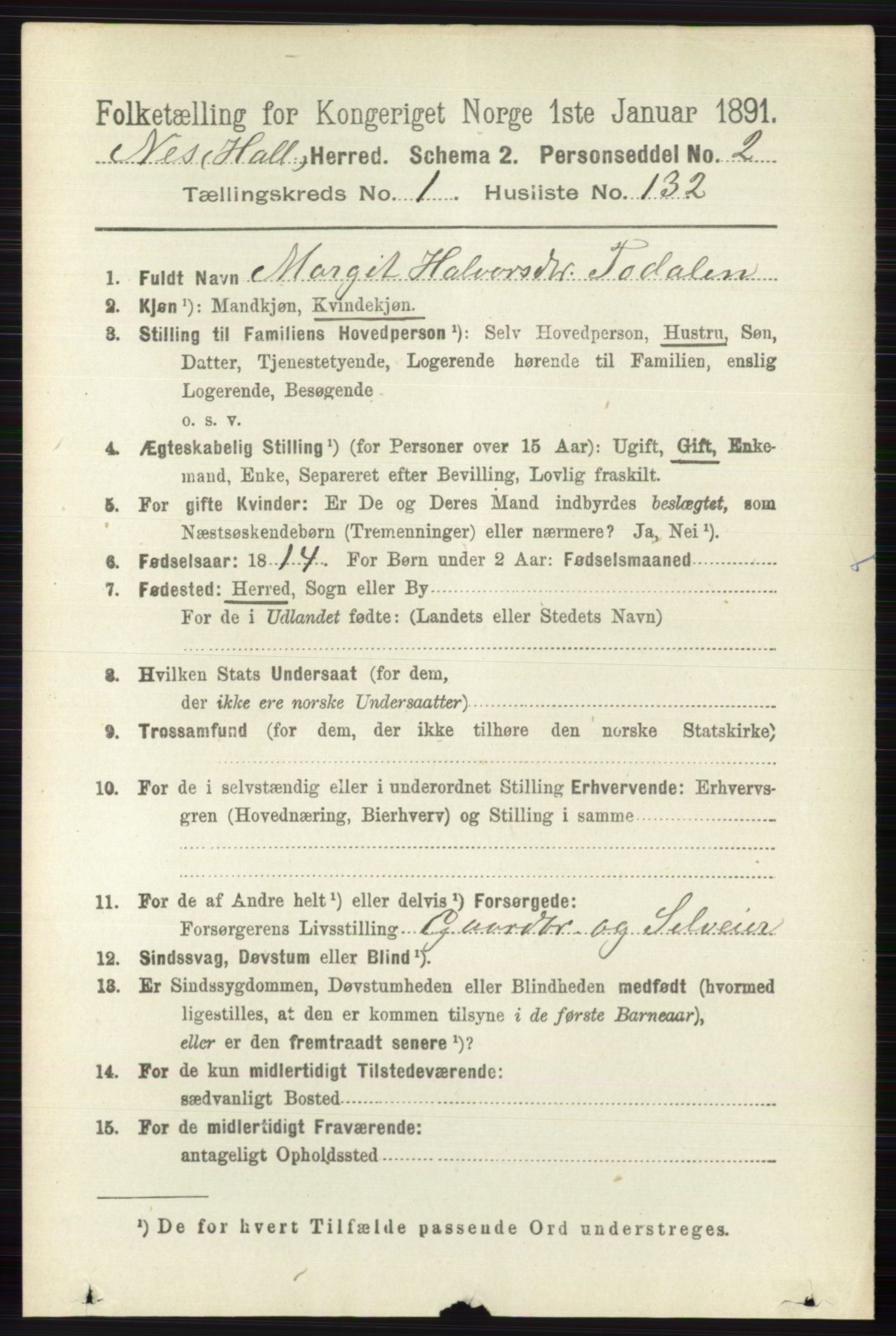 RA, 1891 census for 0616 Nes, 1891, p. 899