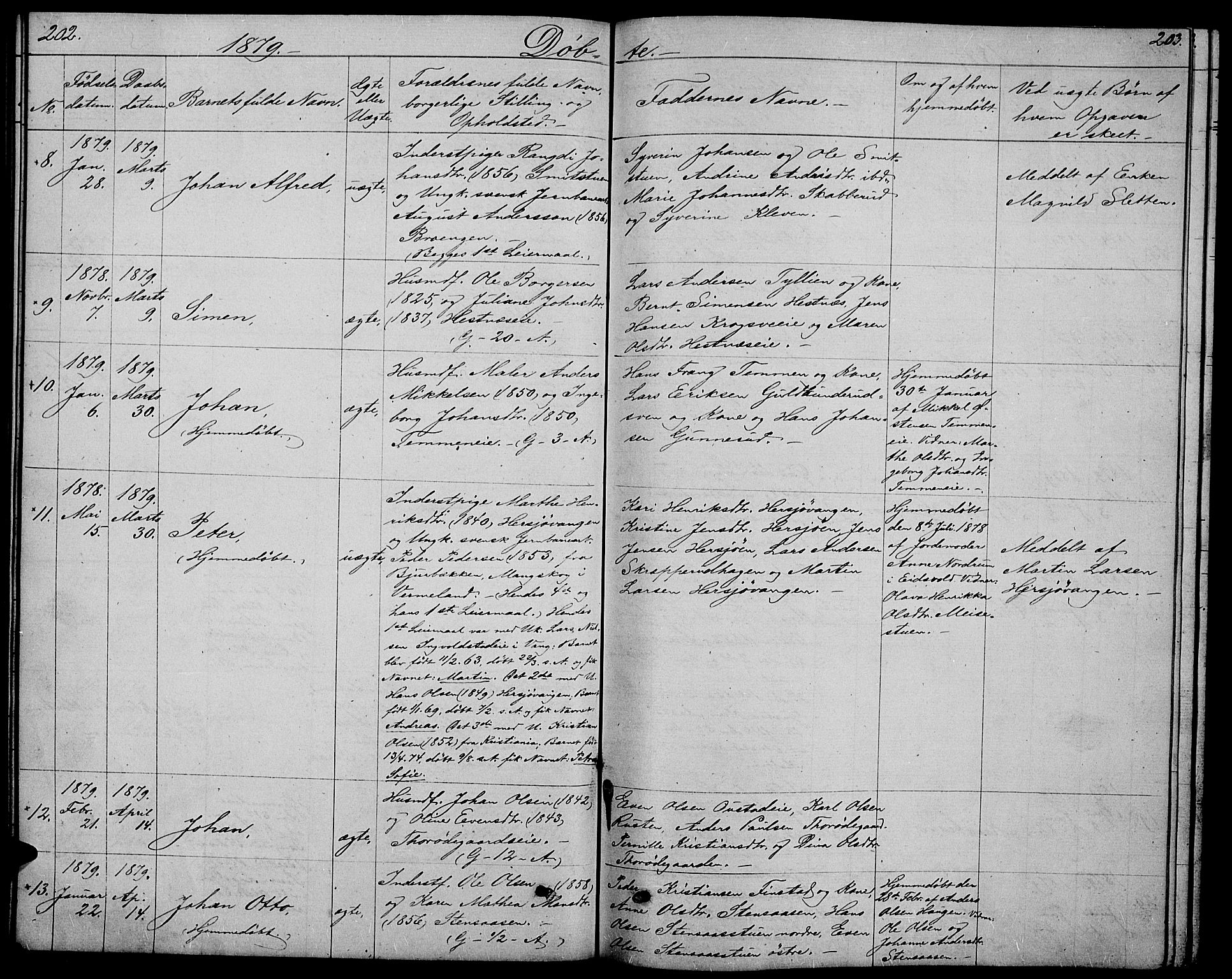 Stange prestekontor, AV/SAH-PREST-002/L/L0005: Parish register (copy) no. 5, 1861-1881, p. 202-203