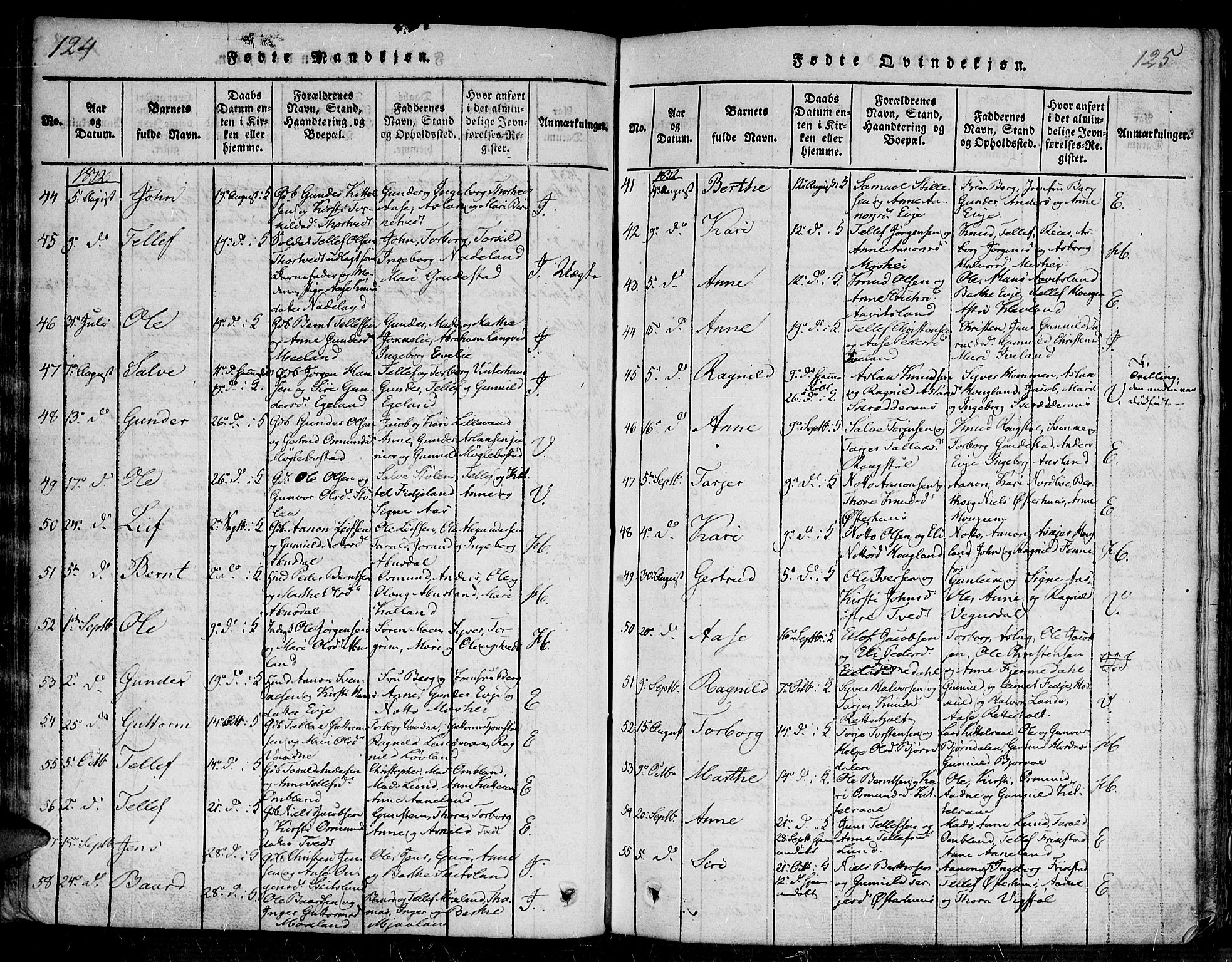 Evje sokneprestkontor, SAK/1111-0008/F/Fa/Faa/L0004: Parish register (official) no. A 4, 1816-1840, p. 124-125