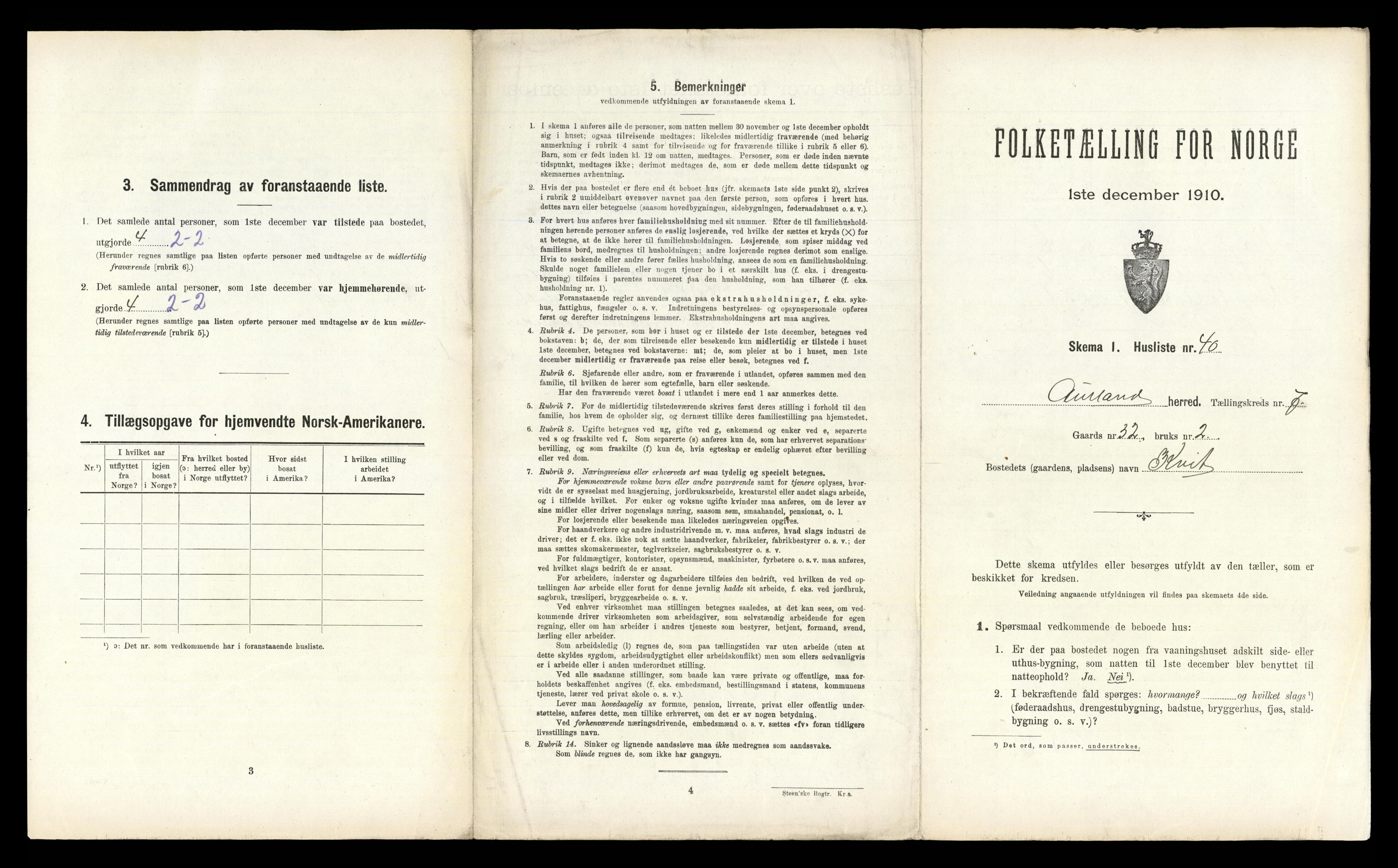 RA, 1910 census for Aurland, 1910, p. 699