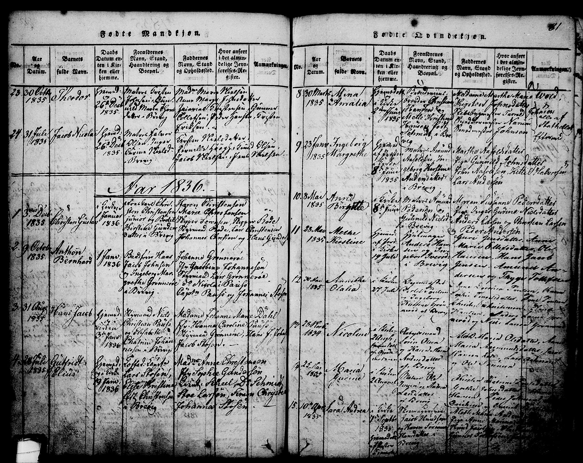 Brevik kirkebøker, SAKO/A-255/G/Ga/L0001: Parish register (copy) no. 1, 1814-1845, p. 81