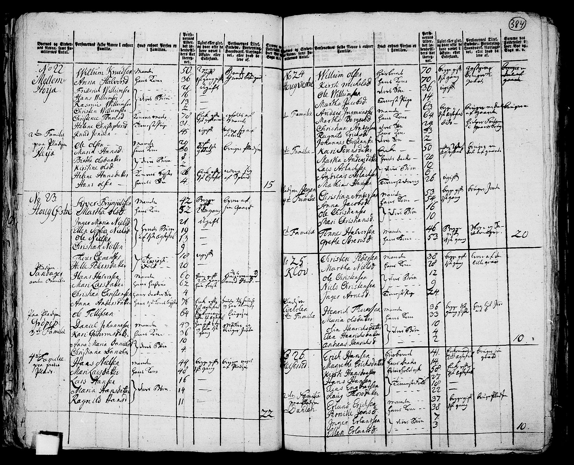 RA, 1801 census for 0125P Eidsberg, 1801, p. 383b-384a