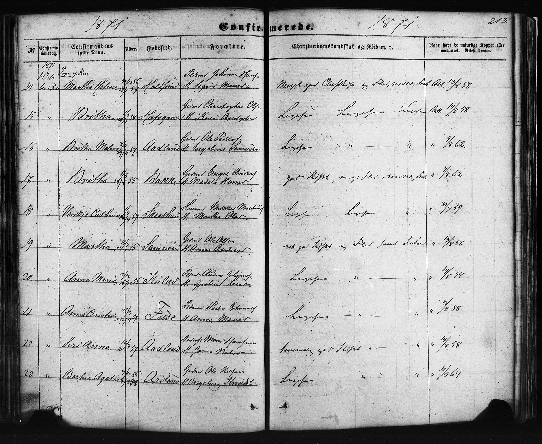 Fusa sokneprestembete, AV/SAB-A-75401/H/Haa: Parish register (official) no. A 1I, 1855-1879, p. 213