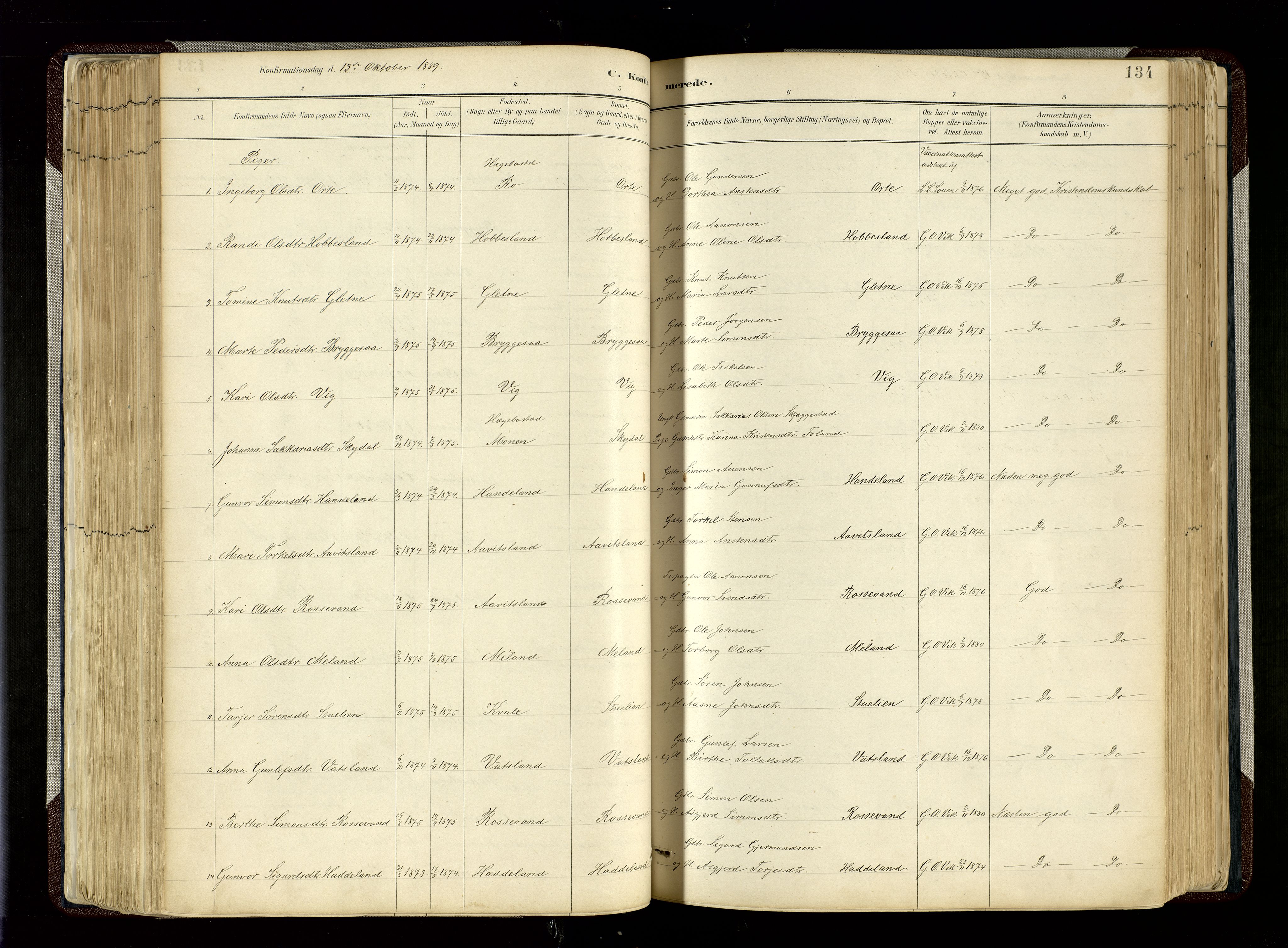 Hægebostad sokneprestkontor, SAK/1111-0024/F/Fa/Fab/L0004: Parish register (official) no. A 4, 1887-1929, p. 134