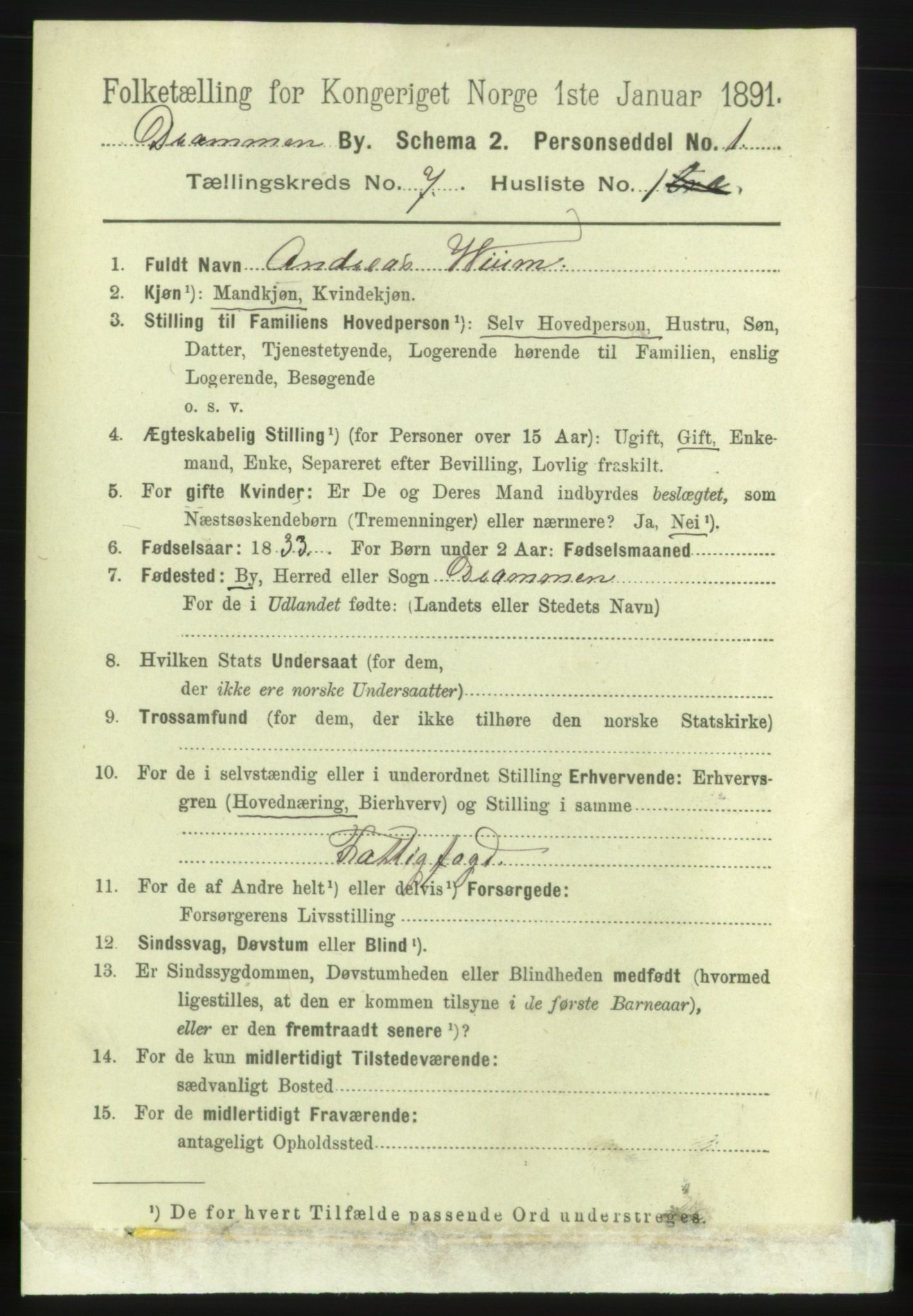 RA, 1891 census for 0602 Drammen, 1891, p. 6352