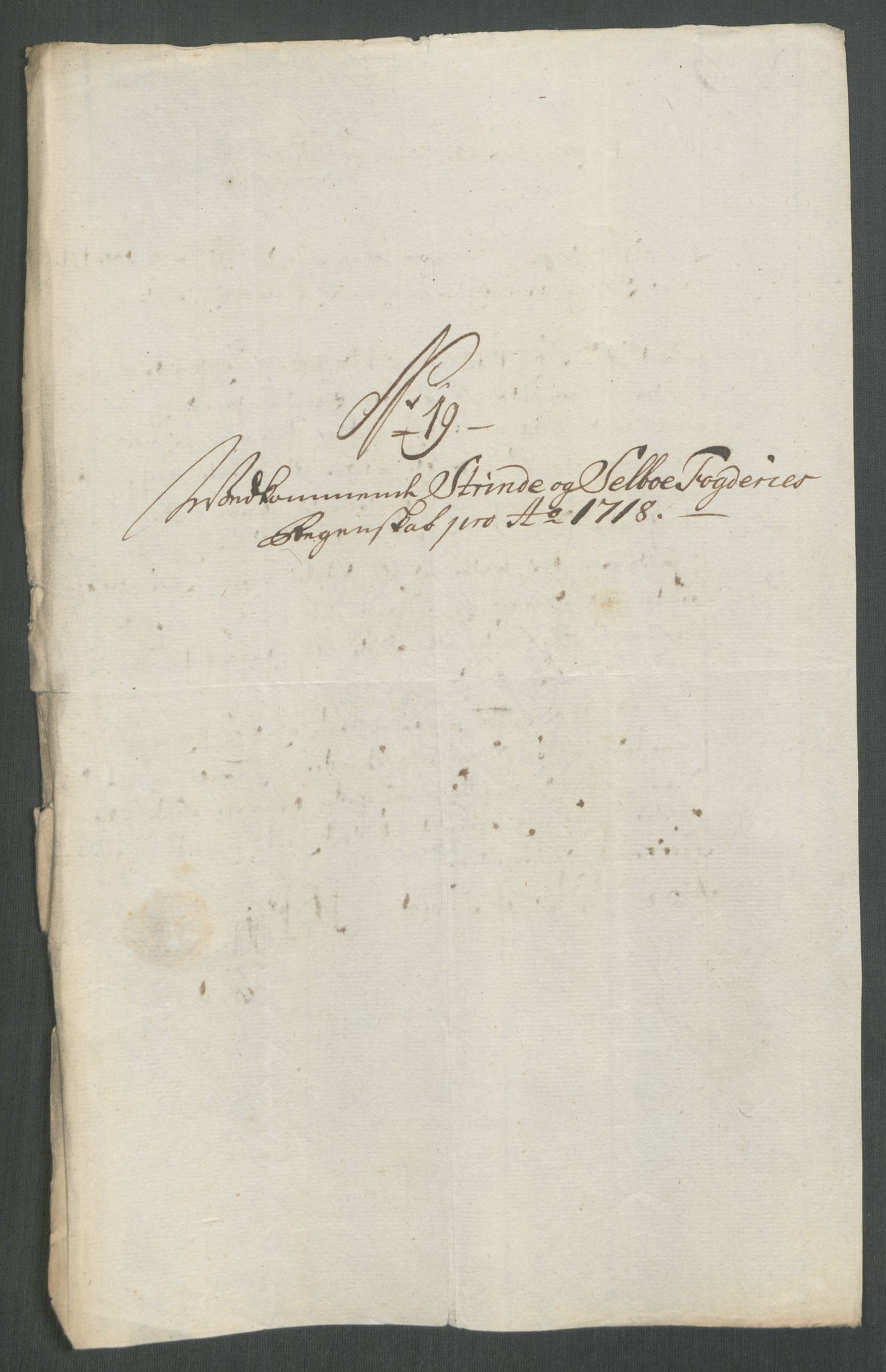 Rentekammeret inntil 1814, Reviderte regnskaper, Fogderegnskap, RA/EA-4092/R61/L4116: Fogderegnskap Strinda og Selbu, 1717-1718, p. 452