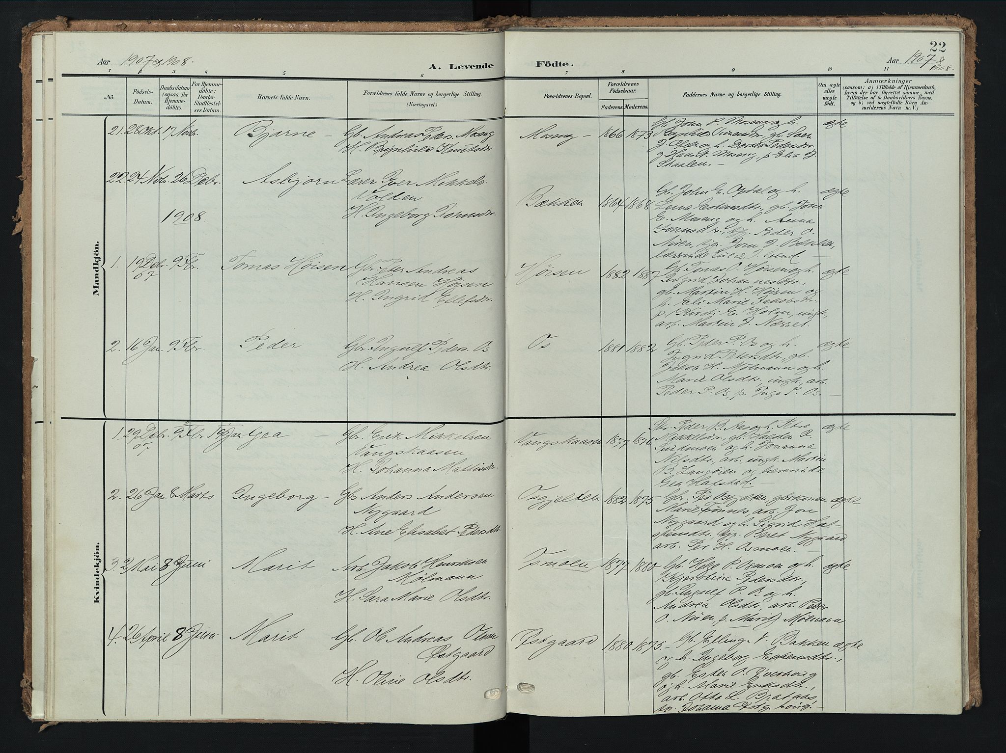 Tolga prestekontor, AV/SAH-PREST-062/K/L0009: Parish register (official) no. 9, 1903-1928, p. 22