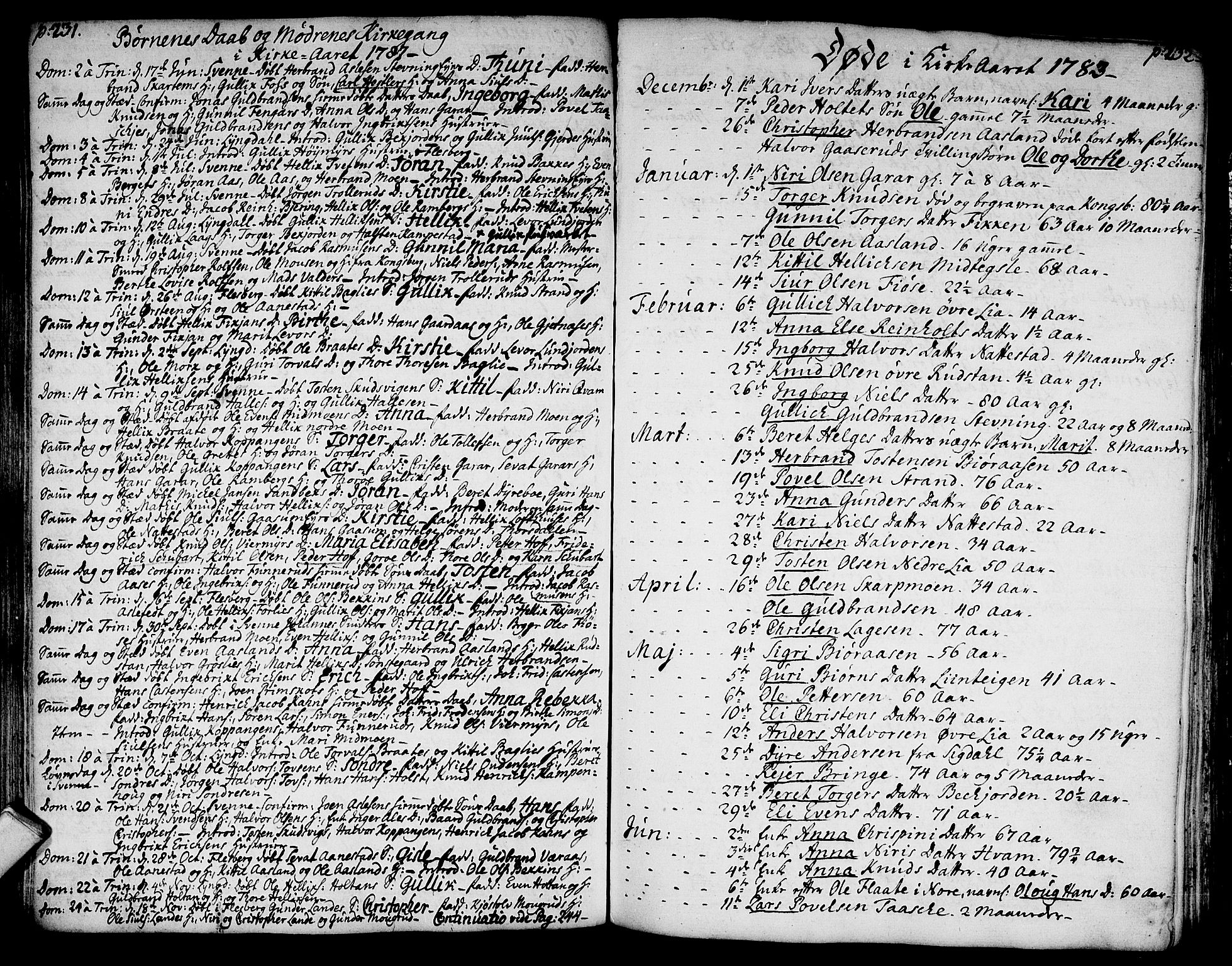 Flesberg kirkebøker, SAKO/A-18/F/Fa/L0003: Parish register (official) no. I 3, 1748-1790, p. 231-232
