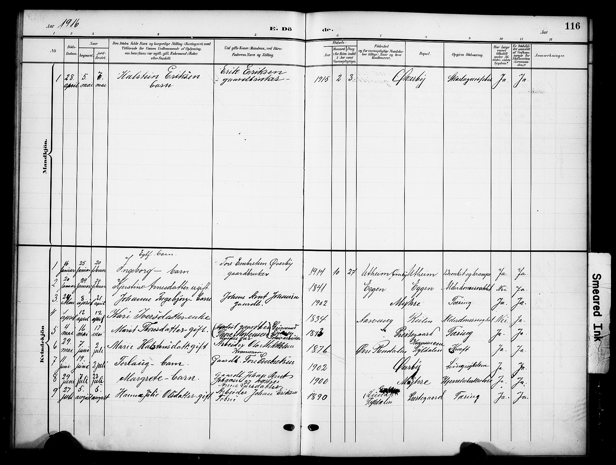Tynset prestekontor, SAH/PREST-058/H/Ha/Hab/L0010: Parish register (copy) no. 10, 1902-1929, p. 116