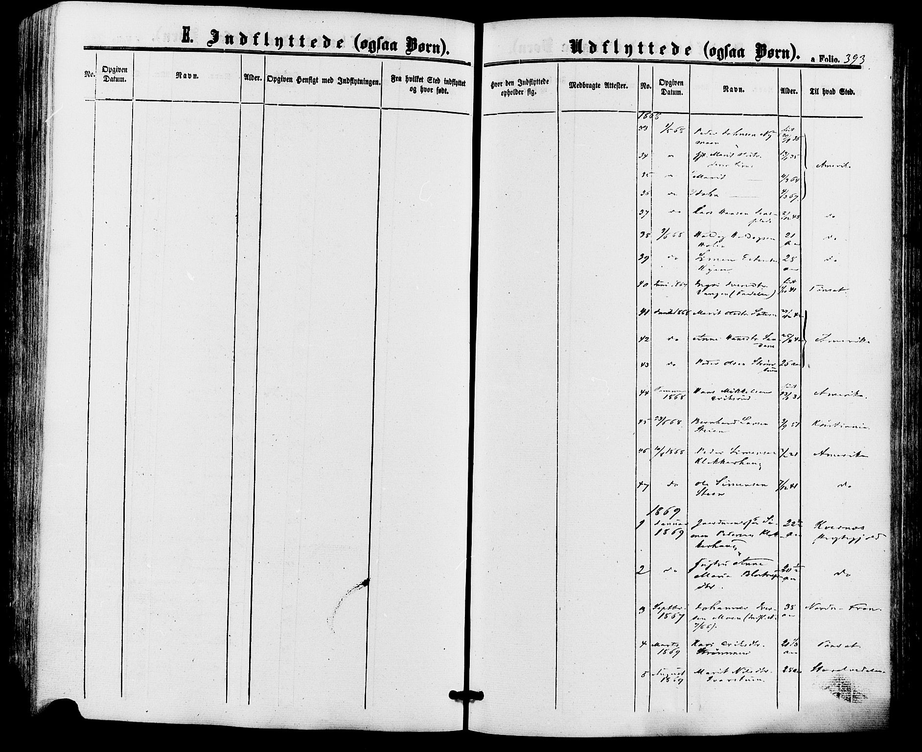 Alvdal prestekontor, SAH/PREST-060/H/Ha/Haa/L0001: Parish register (official) no. 1, 1863-1882, p. 393