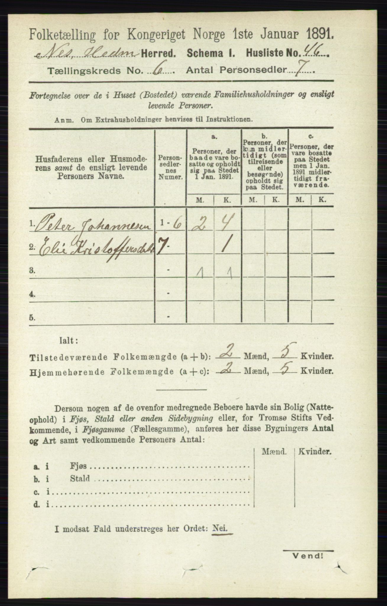 RA, 1891 census for 0411 Nes, 1891, p. 3214