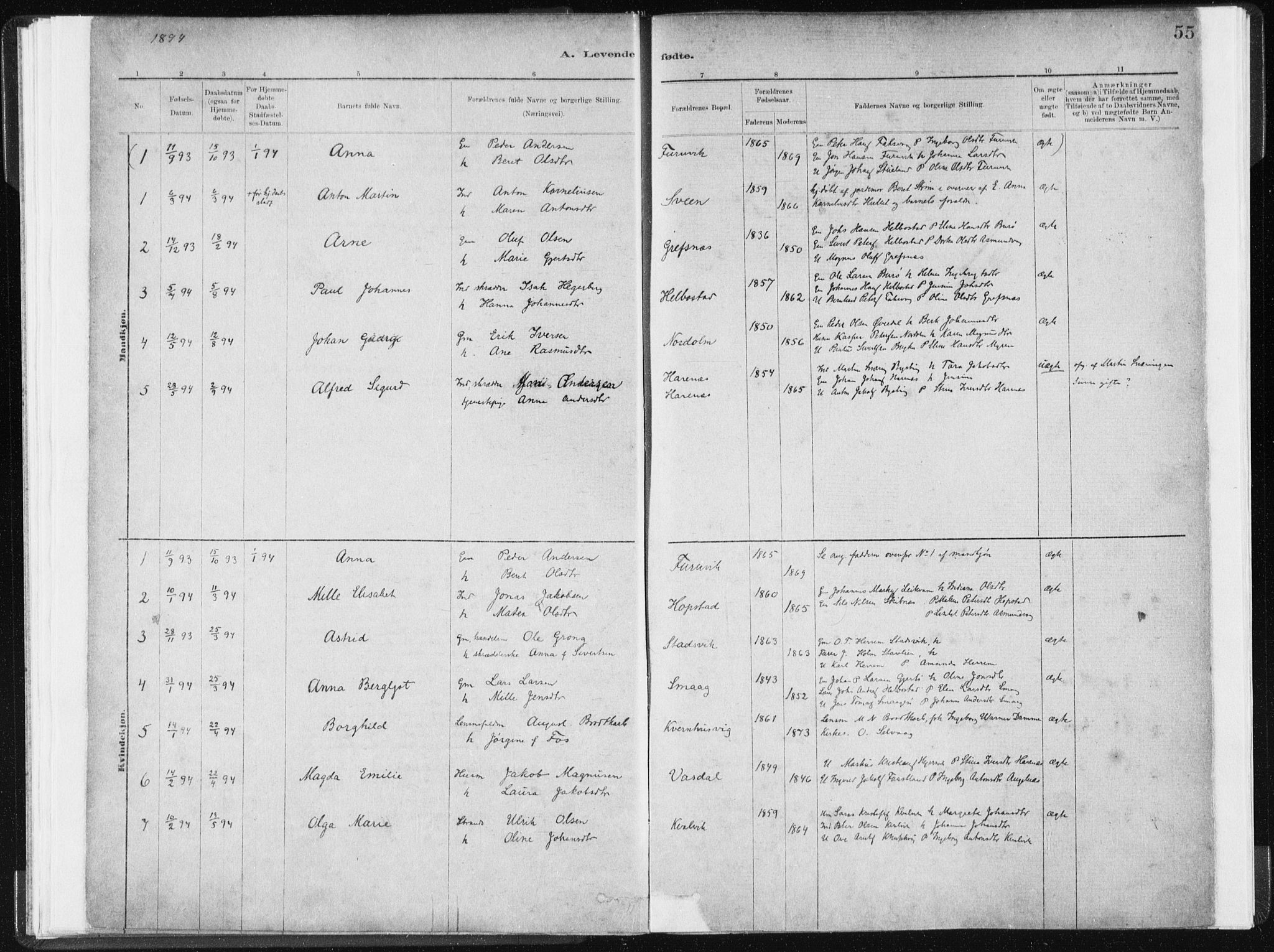 Ministerialprotokoller, klokkerbøker og fødselsregistre - Sør-Trøndelag, SAT/A-1456/634/L0533: Parish register (official) no. 634A09, 1882-1901, p. 55