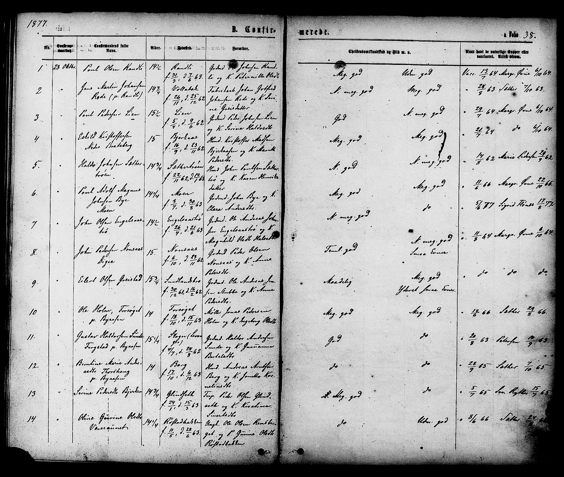 Ministerialprotokoller, klokkerbøker og fødselsregistre - Sør-Trøndelag, AV/SAT-A-1456/608/L0334: Parish register (official) no. 608A03, 1877-1886, p. 38