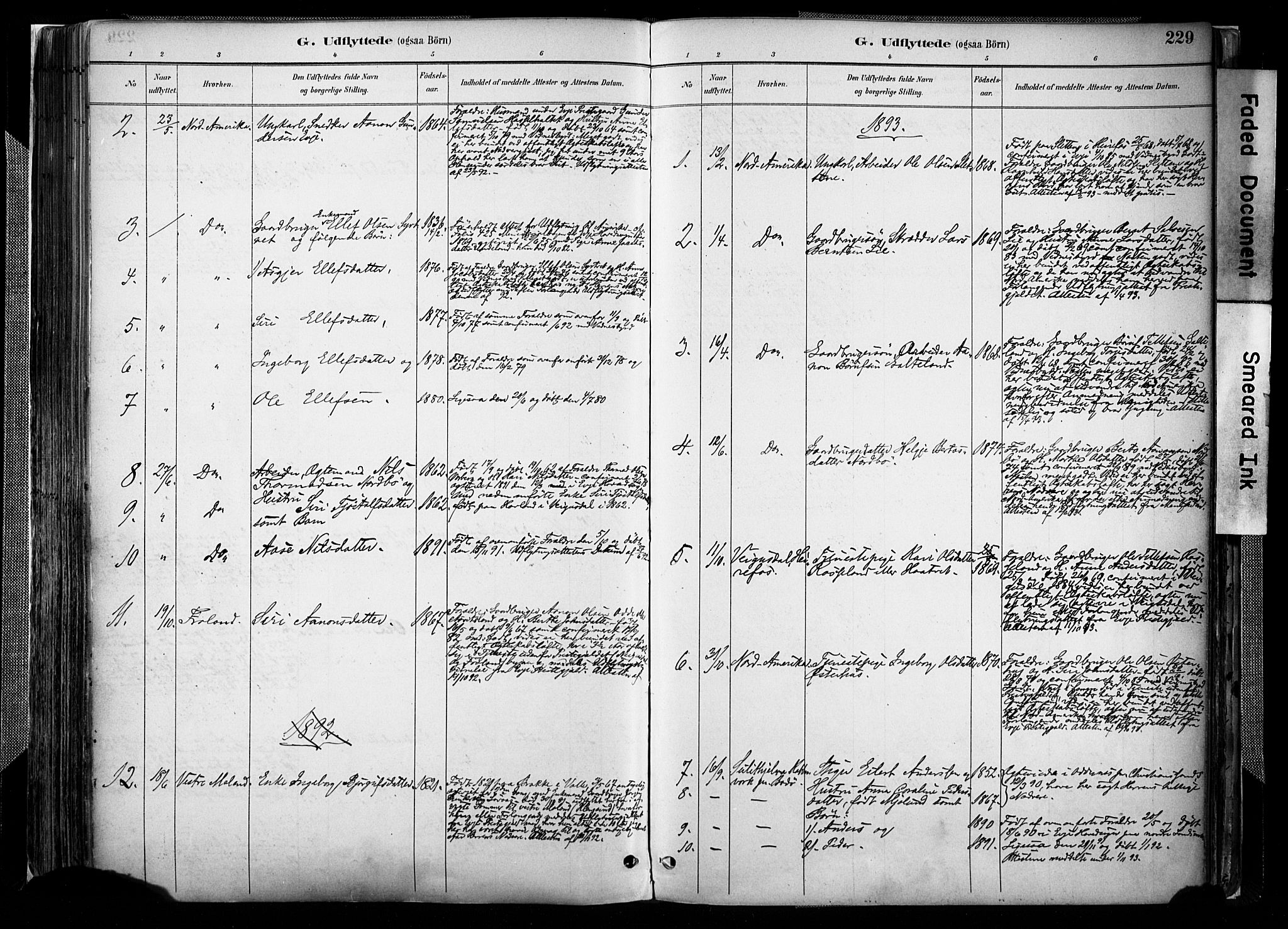 Evje sokneprestkontor, AV/SAK-1111-0008/F/Fa/Faa/L0007: Parish register (official) no. A 7, 1884-1909, p. 229