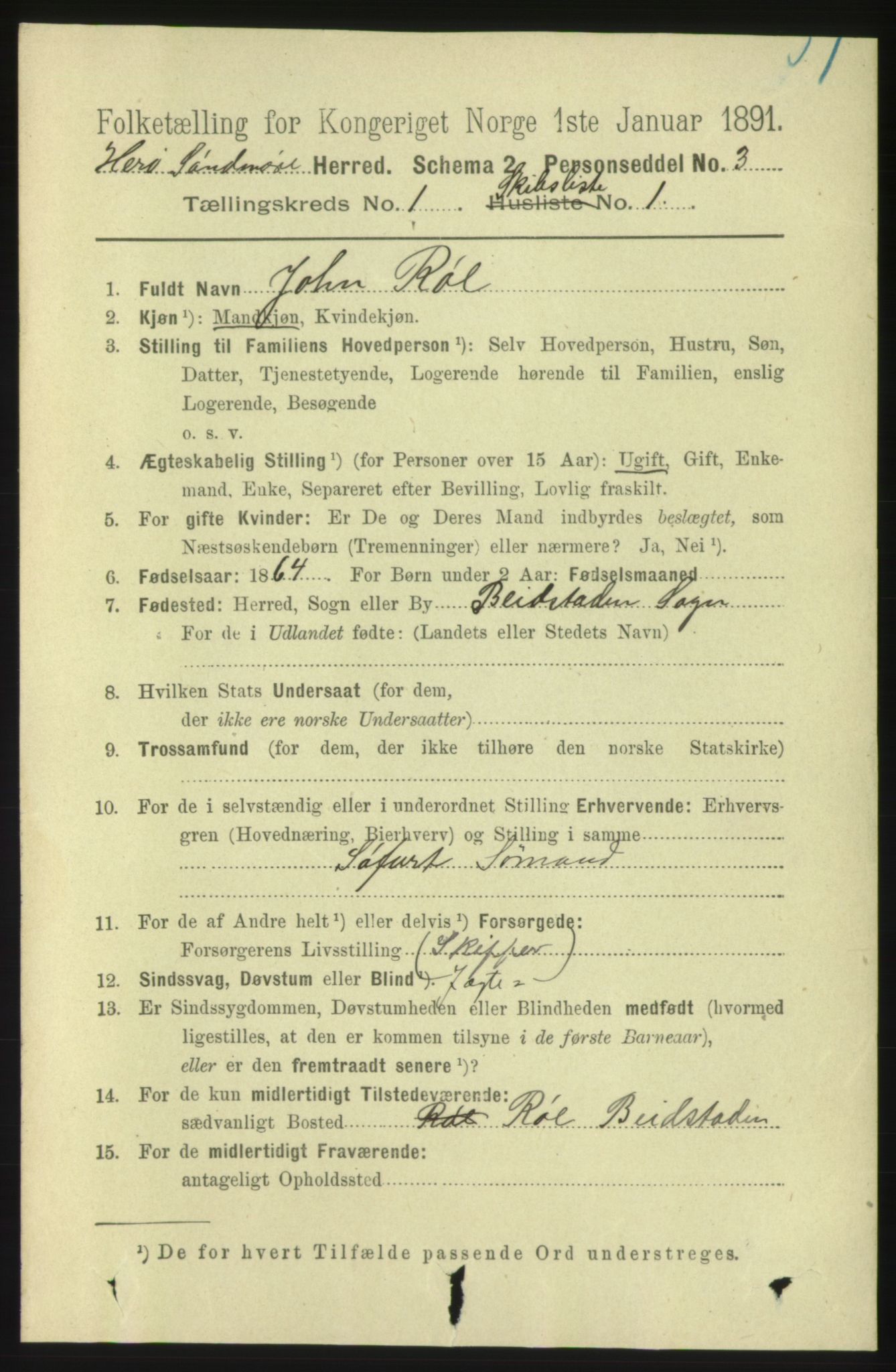 RA, 1891 census for 1515 Herøy, 1891, p. 3876