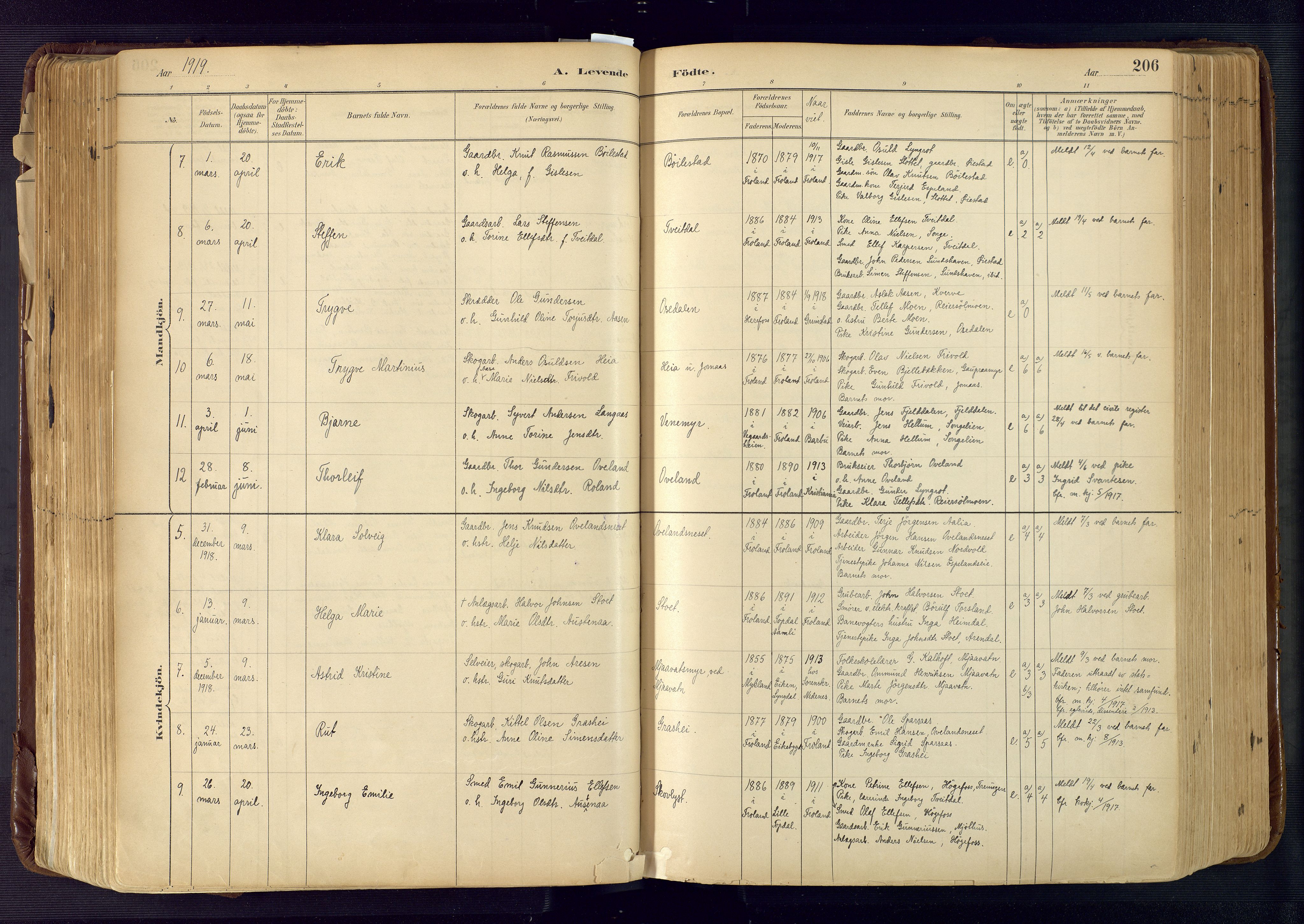 Froland sokneprestkontor, AV/SAK-1111-0013/F/Fa/L0005: Parish register (official) no. A 5, 1882-1921, p. 206