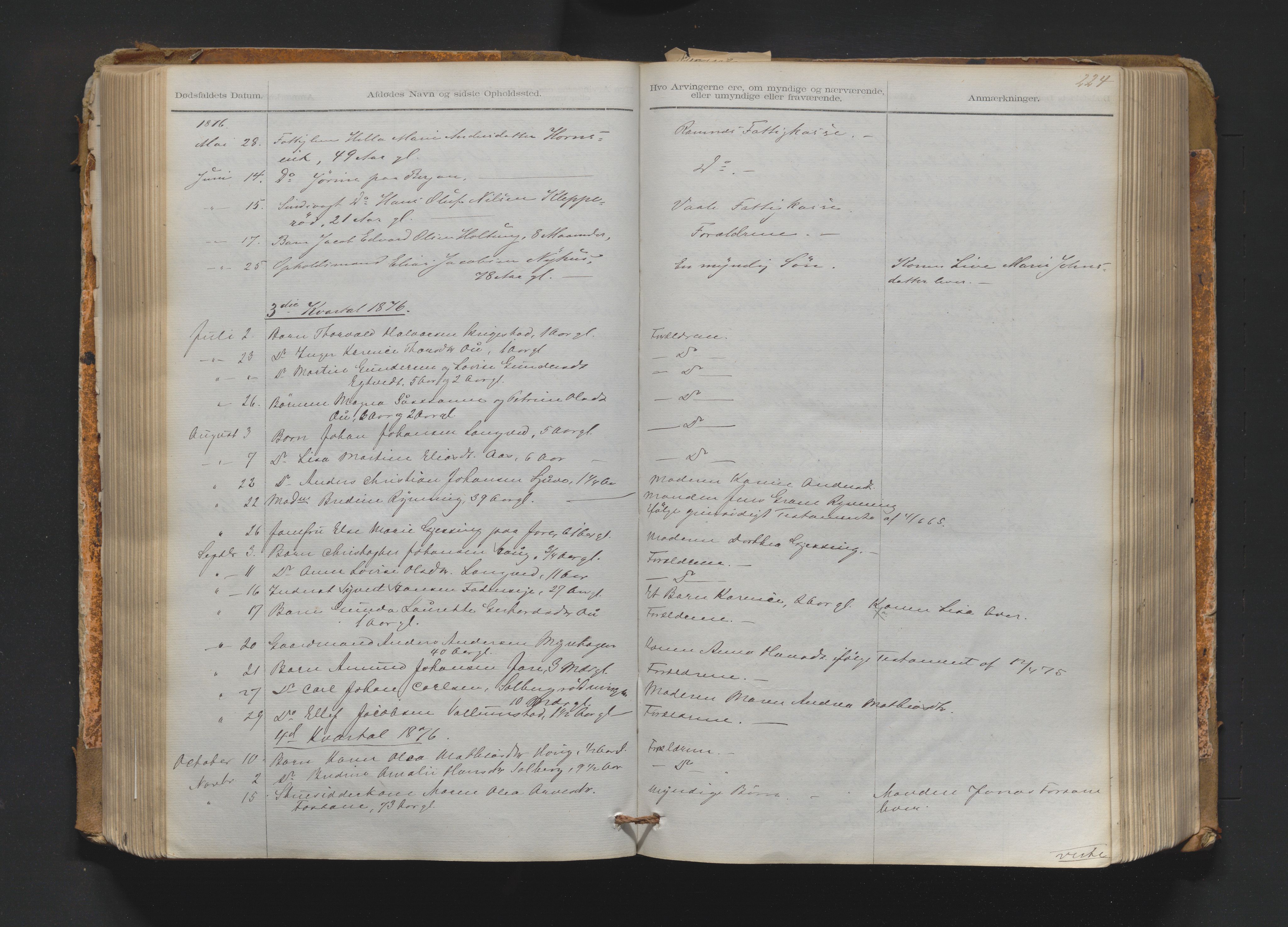 Mellom Jarlsberg sorenskriveri, AV/SAKO-A-132/H/Ha/Haa/Haab/L0001: Dødsfallsprotokoll, landdistriktet, 1863-1905, p. 224