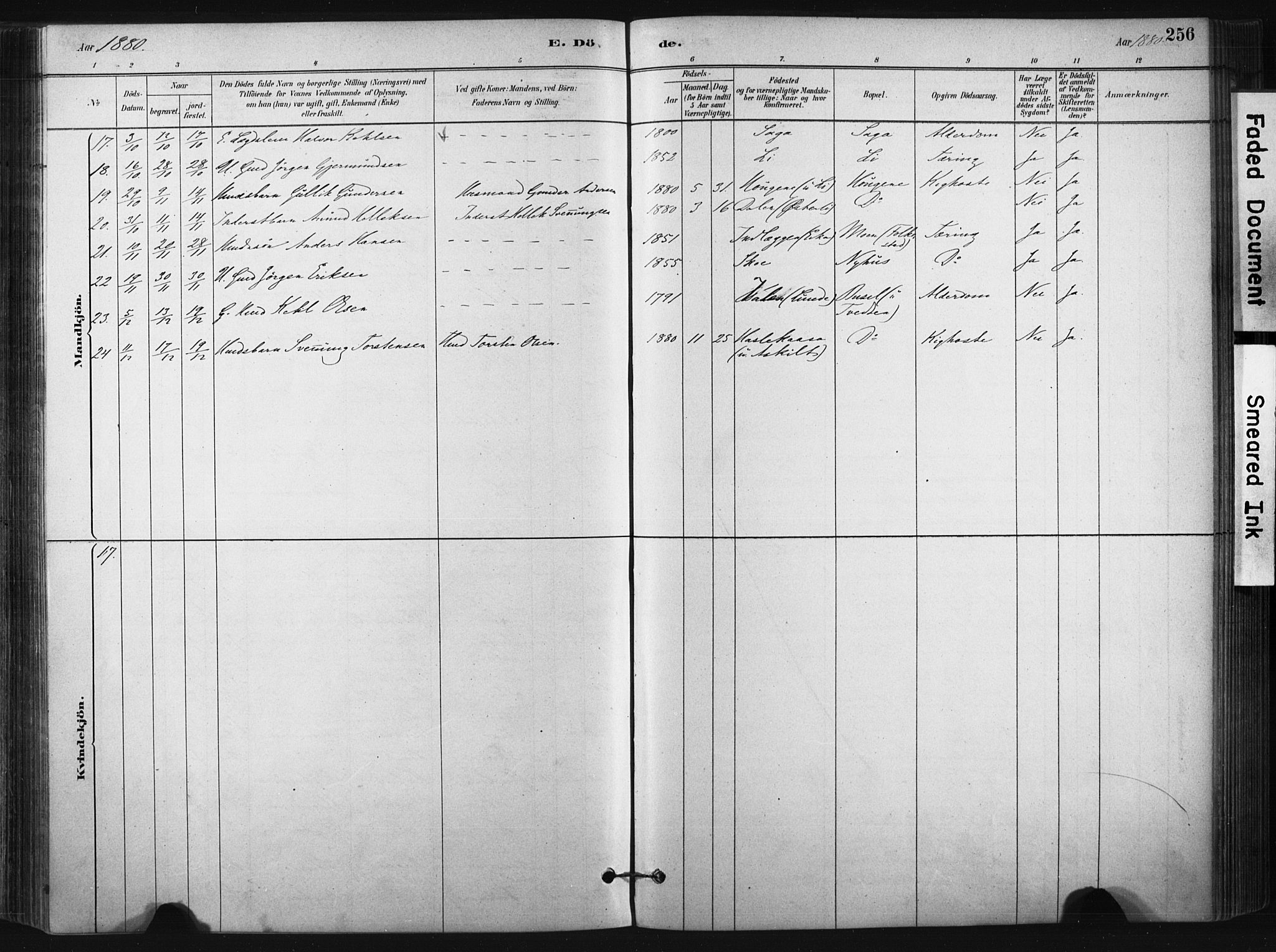 Bø kirkebøker, SAKO/A-257/F/Fa/L0010: Parish register (official) no. 10, 1880-1892, p. 256