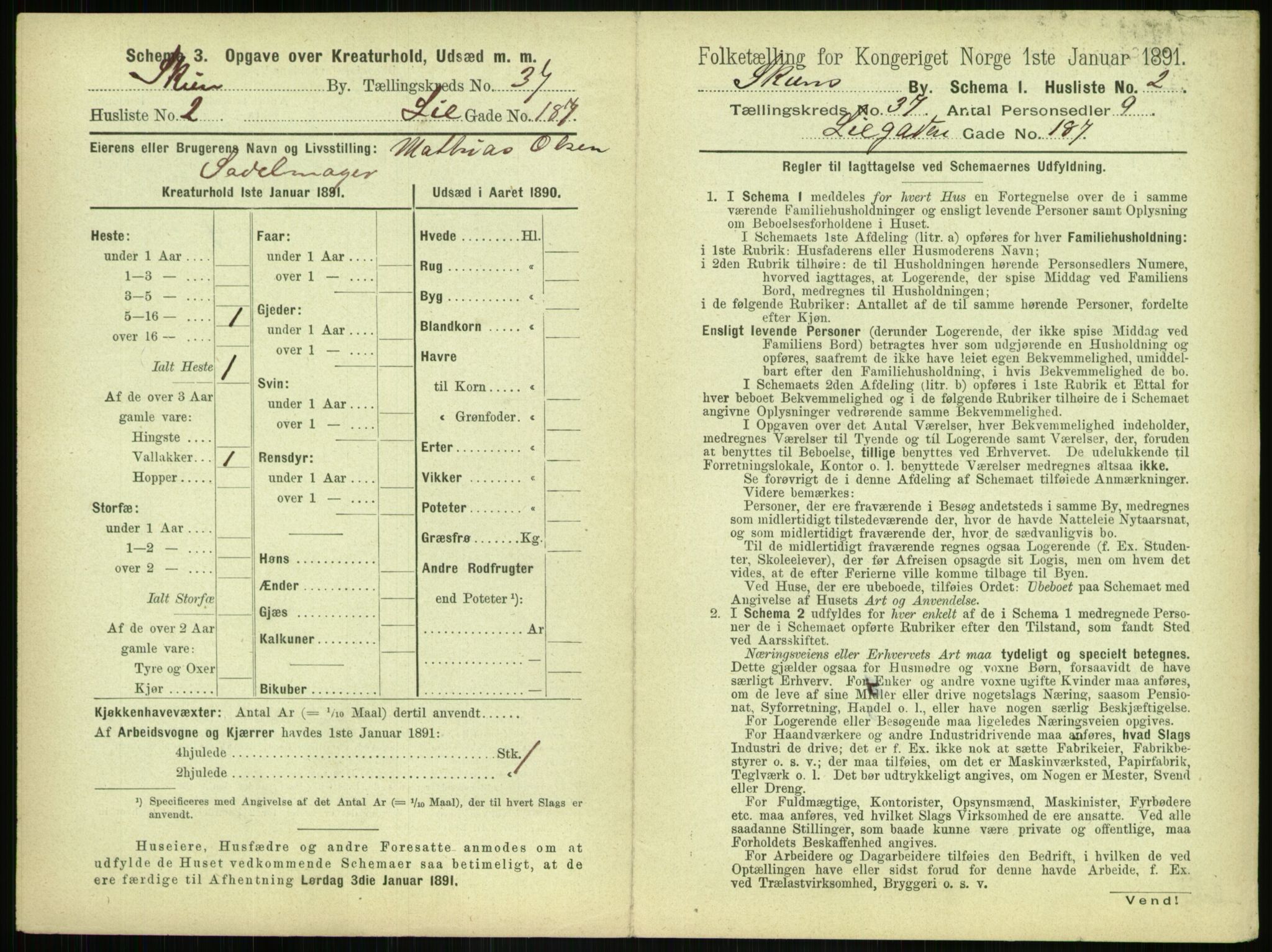 RA, 1891 census for 0806 Skien, 1891, p. 1386