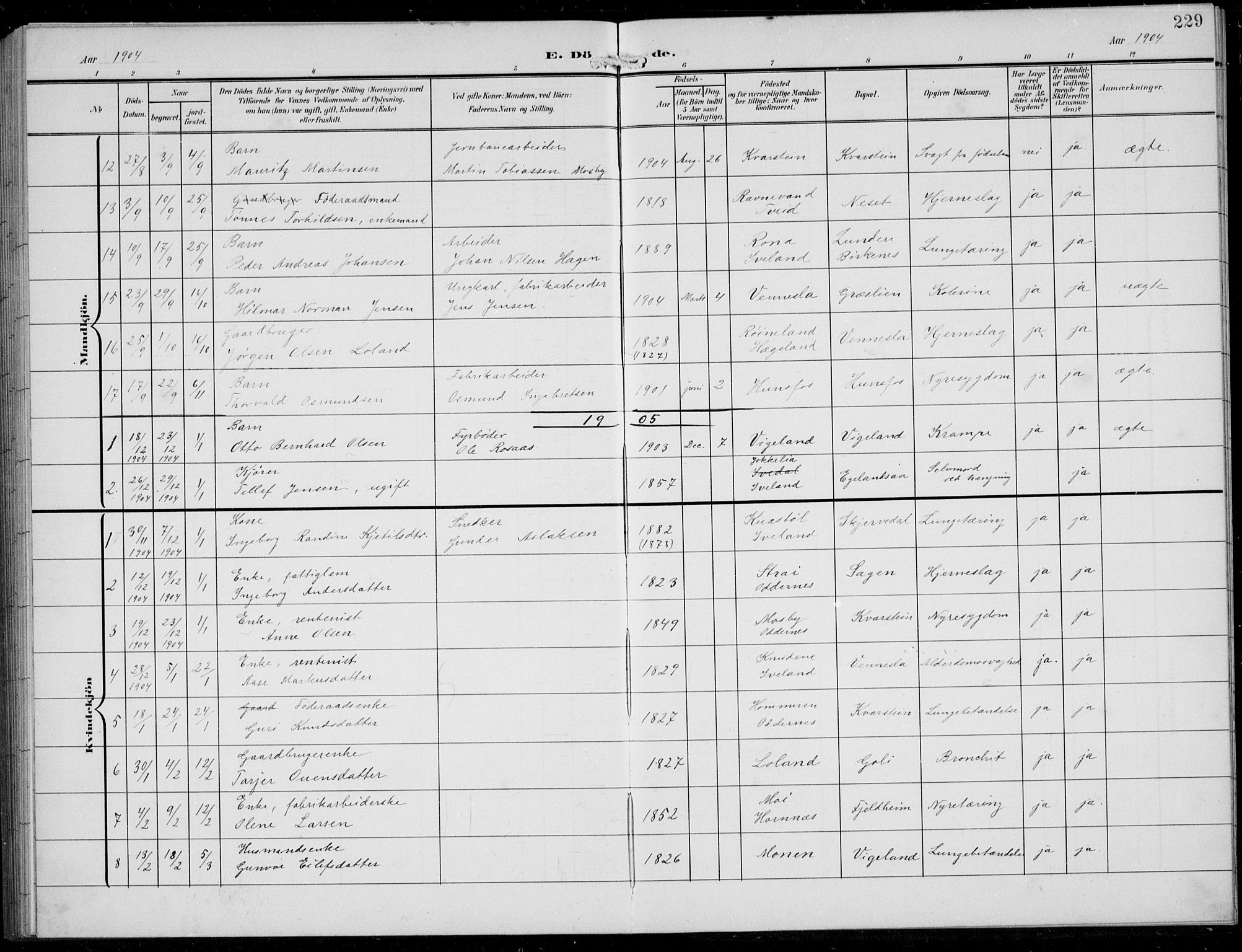 Vennesla sokneprestkontor, SAK/1111-0045/Fb/Fbb/L0005: Parish register (copy) no. B 5, 1903-1913, p. 229