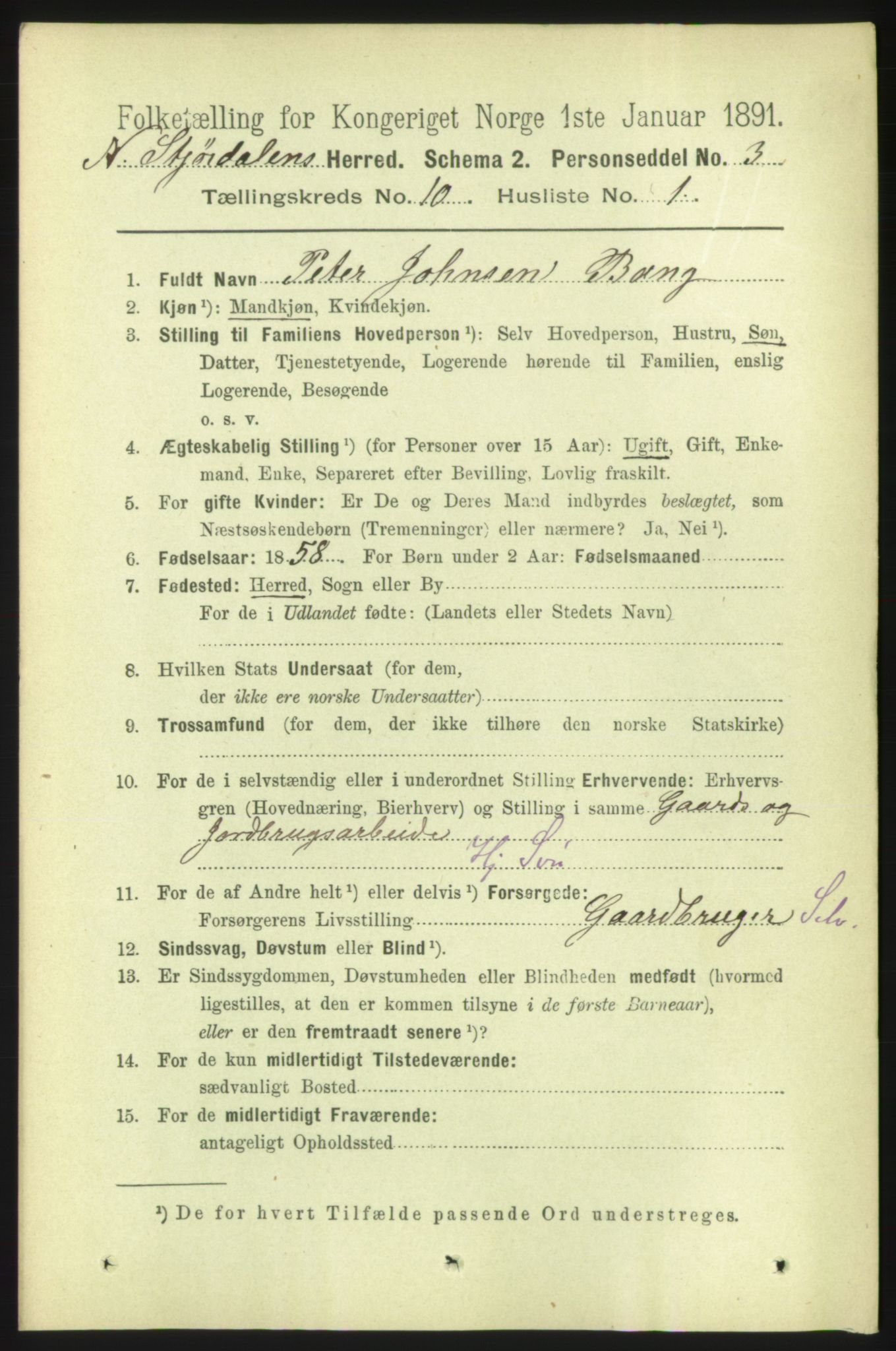 RA, 1891 census for 1714 Nedre Stjørdal, 1891, p. 5515