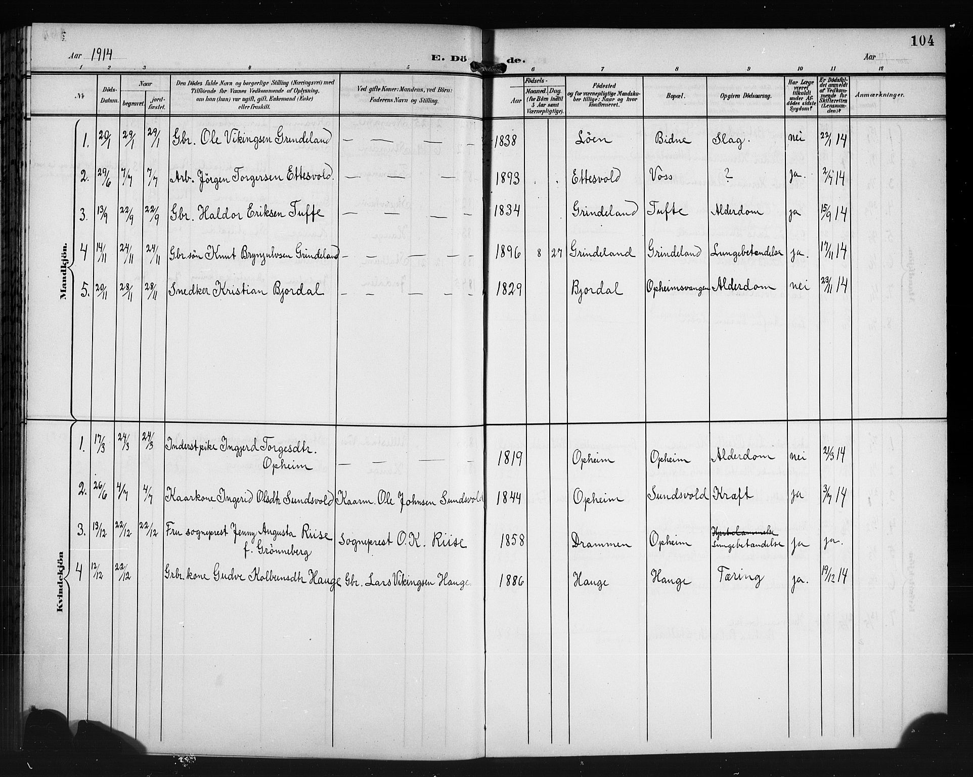 Vossestrand Sokneprestembete, AV/SAB-A-79101/H/Hab: Parish register (copy) no. A 3, 1900-1918, p. 104