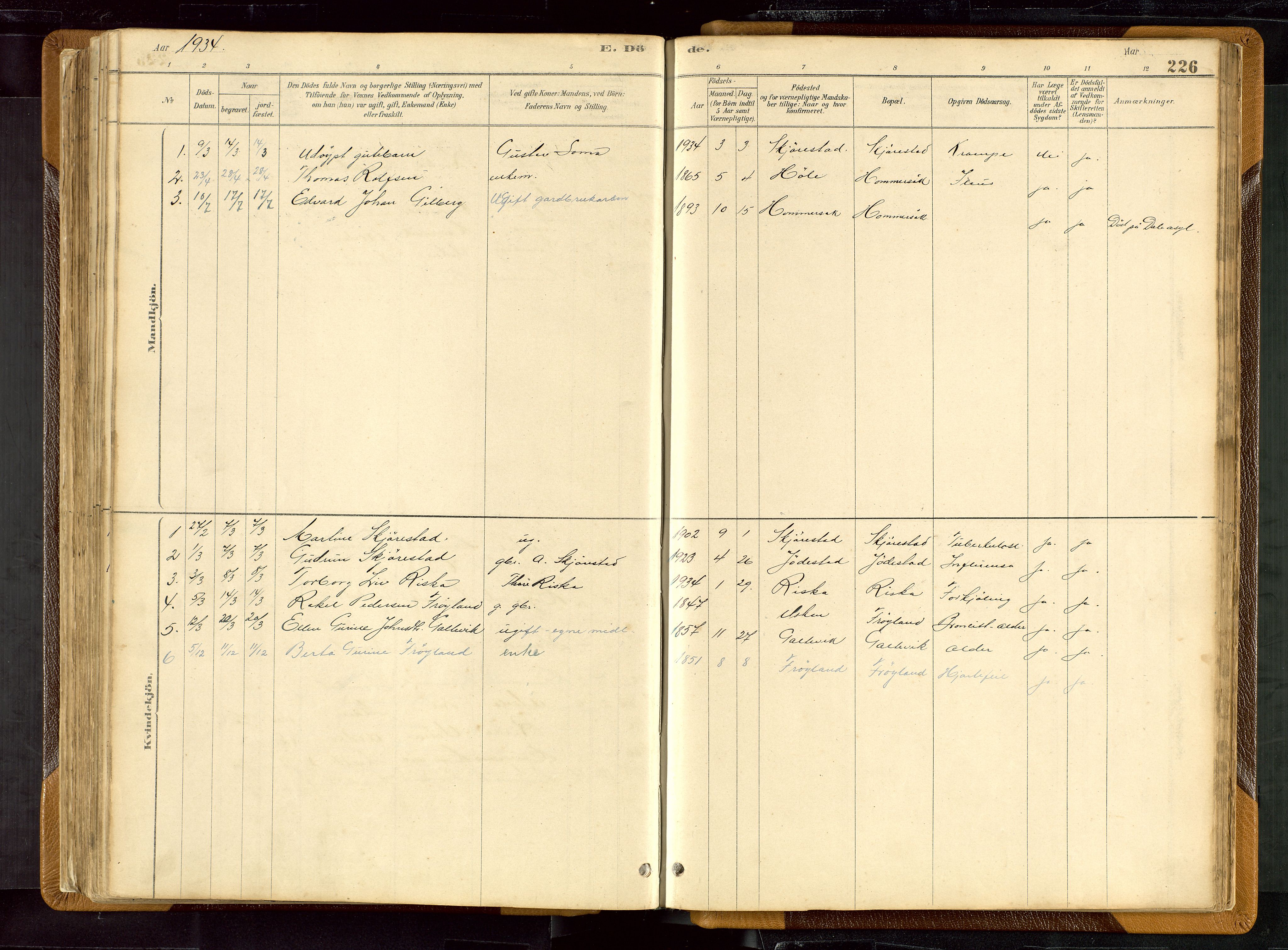 Hetland sokneprestkontor, SAST/A-101826/30/30BB/L0007: Parish register (copy) no. B 7, 1878-1910, p. 226