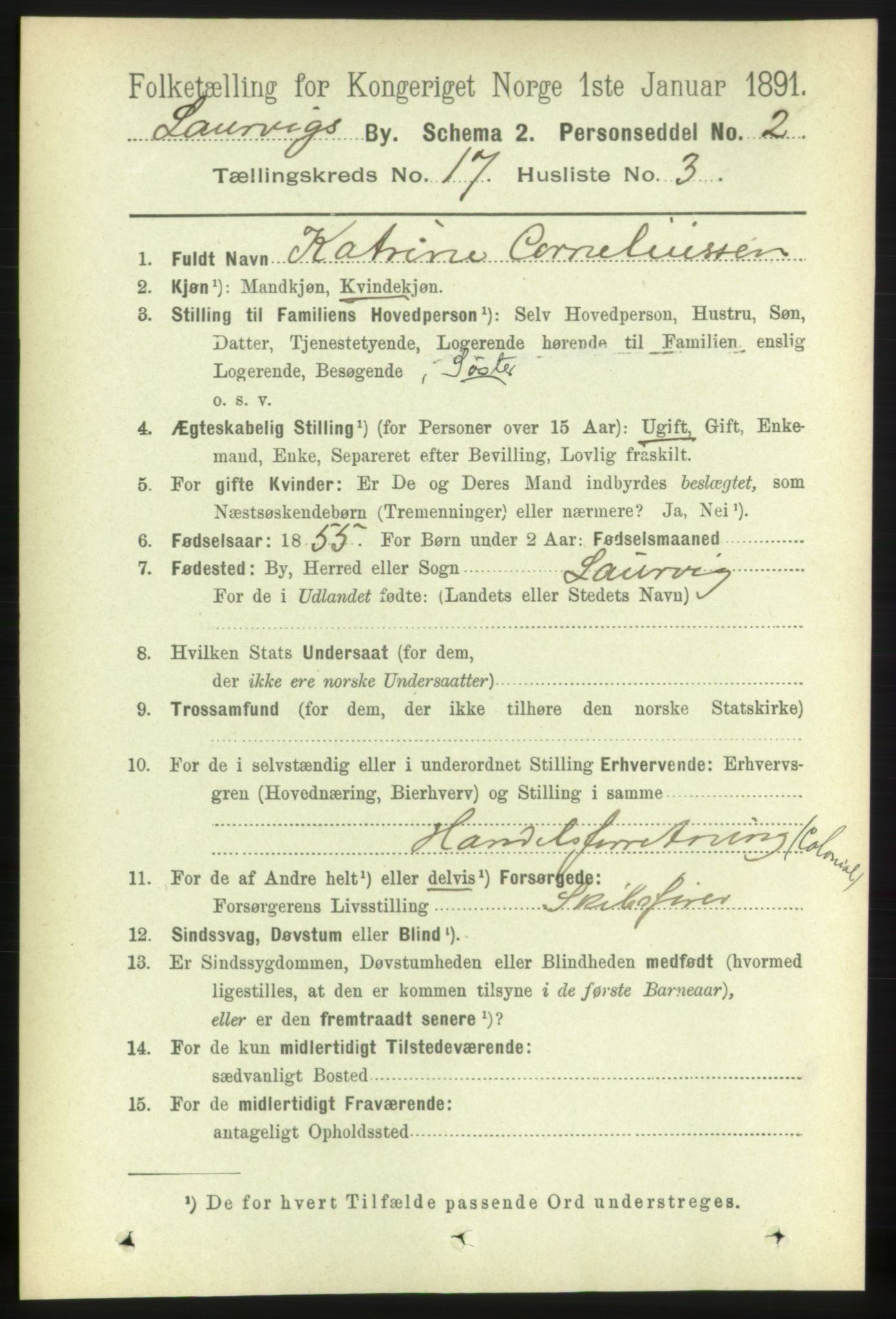 RA, 1891 census for 0707 Larvik, 1891, p. 12347