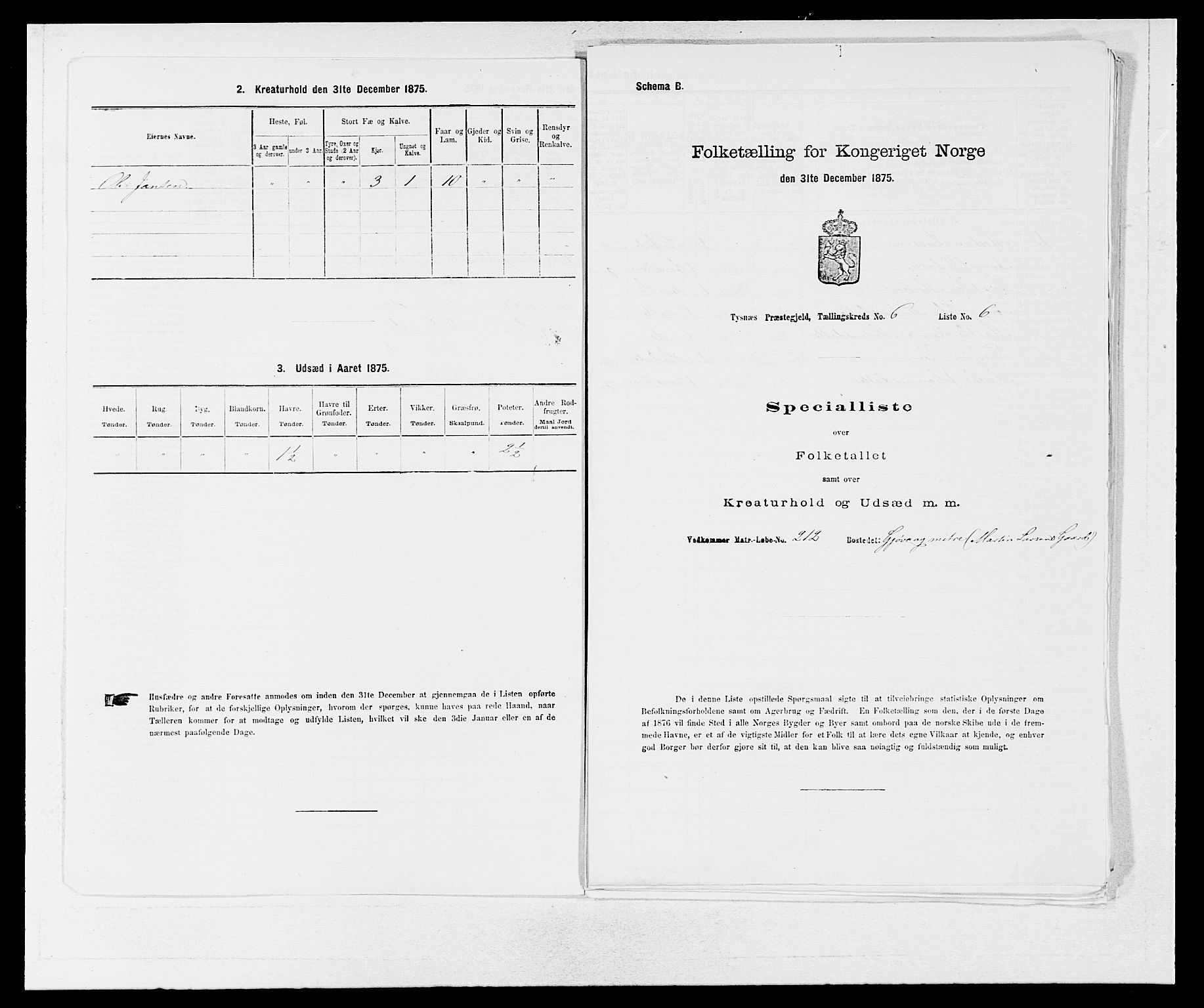 SAB, 1875 census for 1223P Tysnes, 1875, p. 656