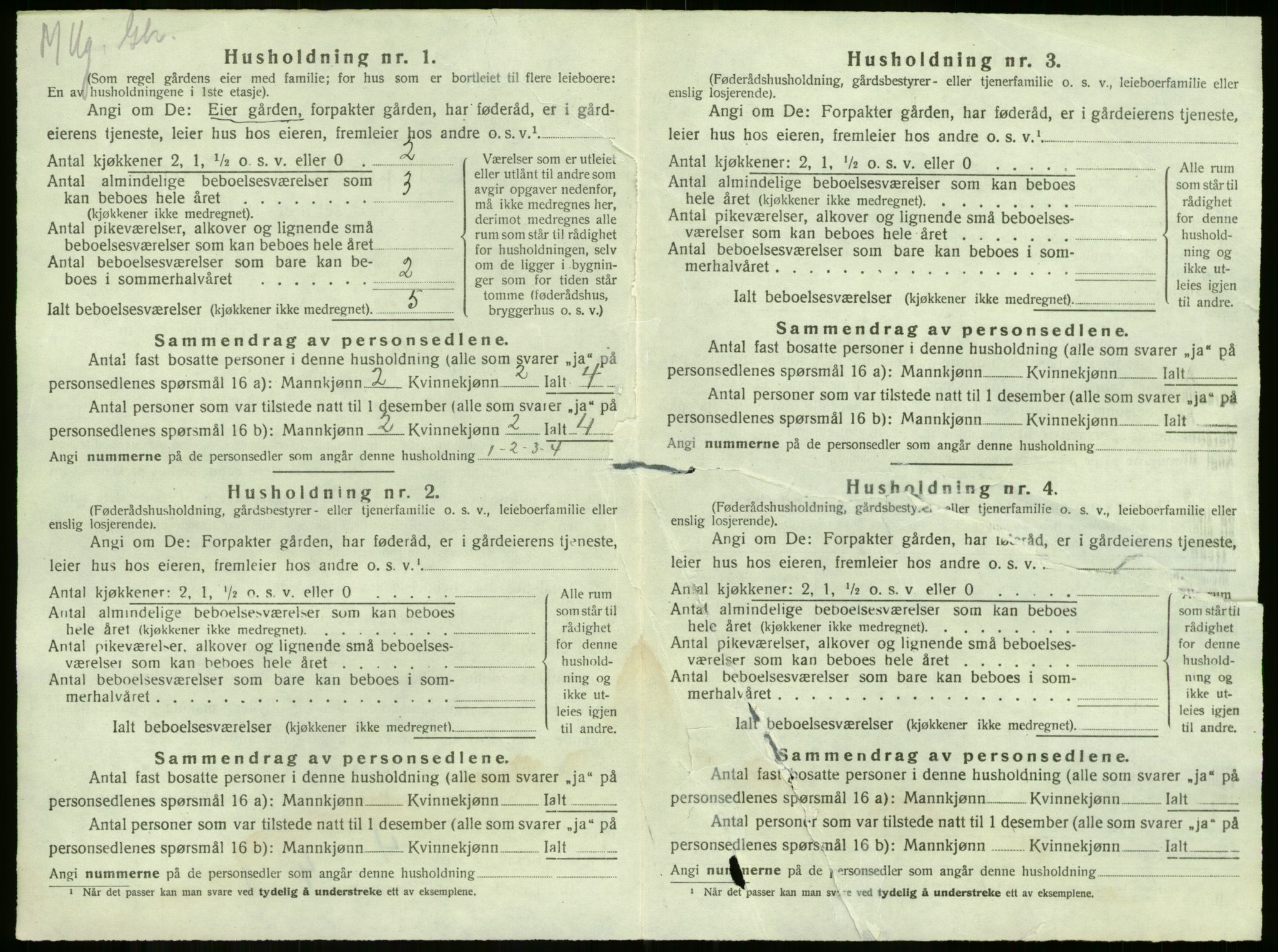 SAKO, 1920 census for Våle, 1920, p. 1021
