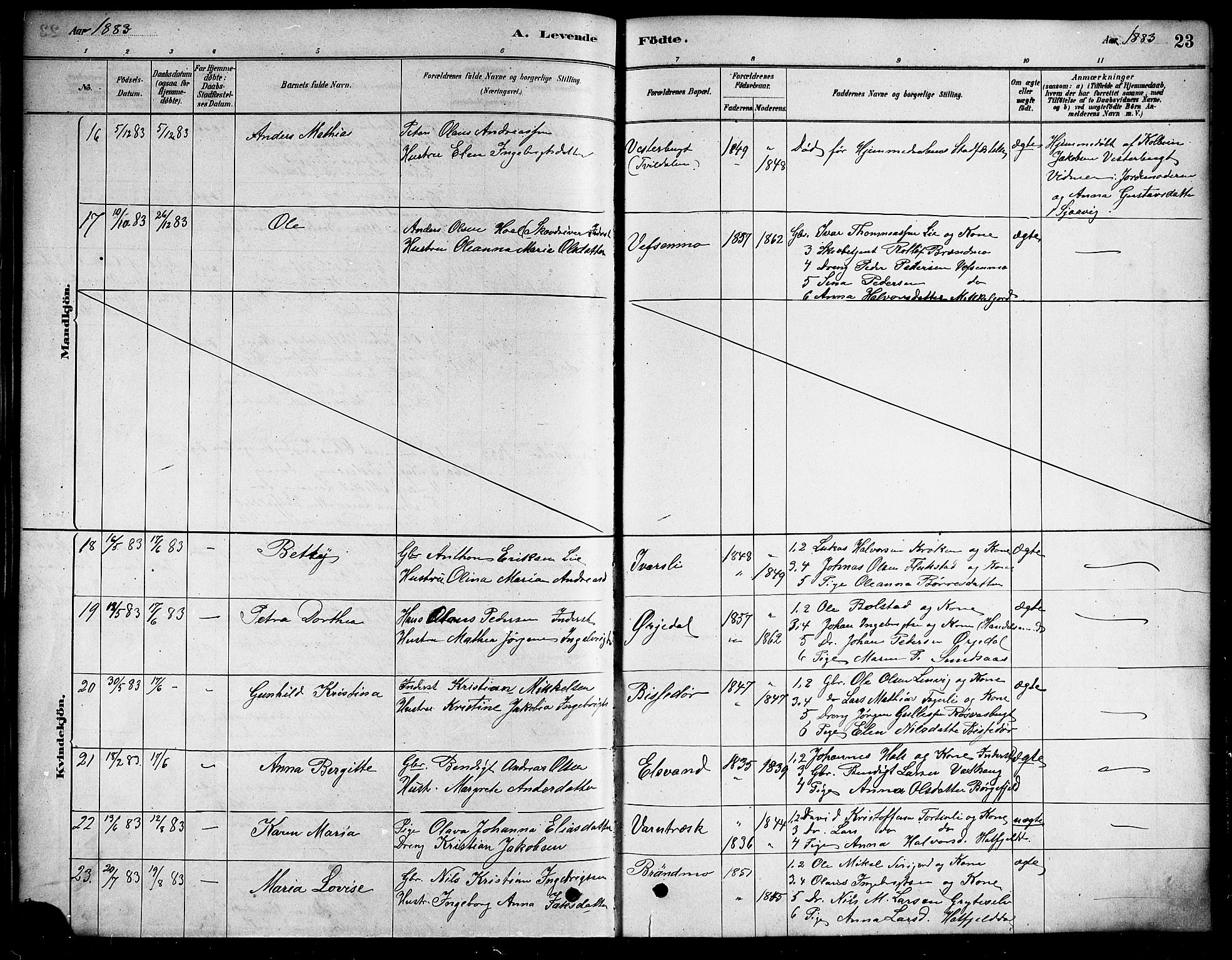 Ministerialprotokoller, klokkerbøker og fødselsregistre - Nordland, SAT/A-1459/823/L0330: Parish register (copy) no. 823C02, 1879-1916, p. 23