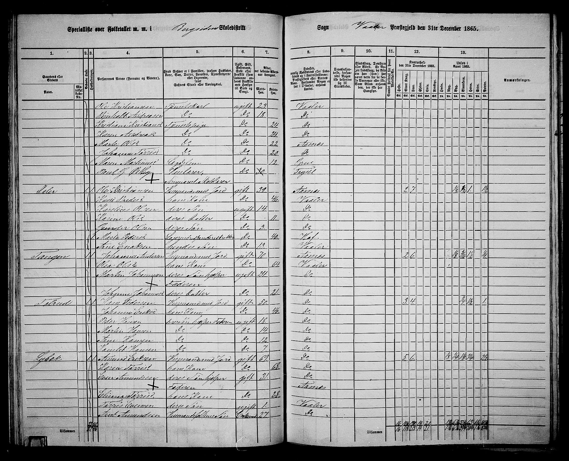 RA, 1865 census for Våler, 1865, p. 57