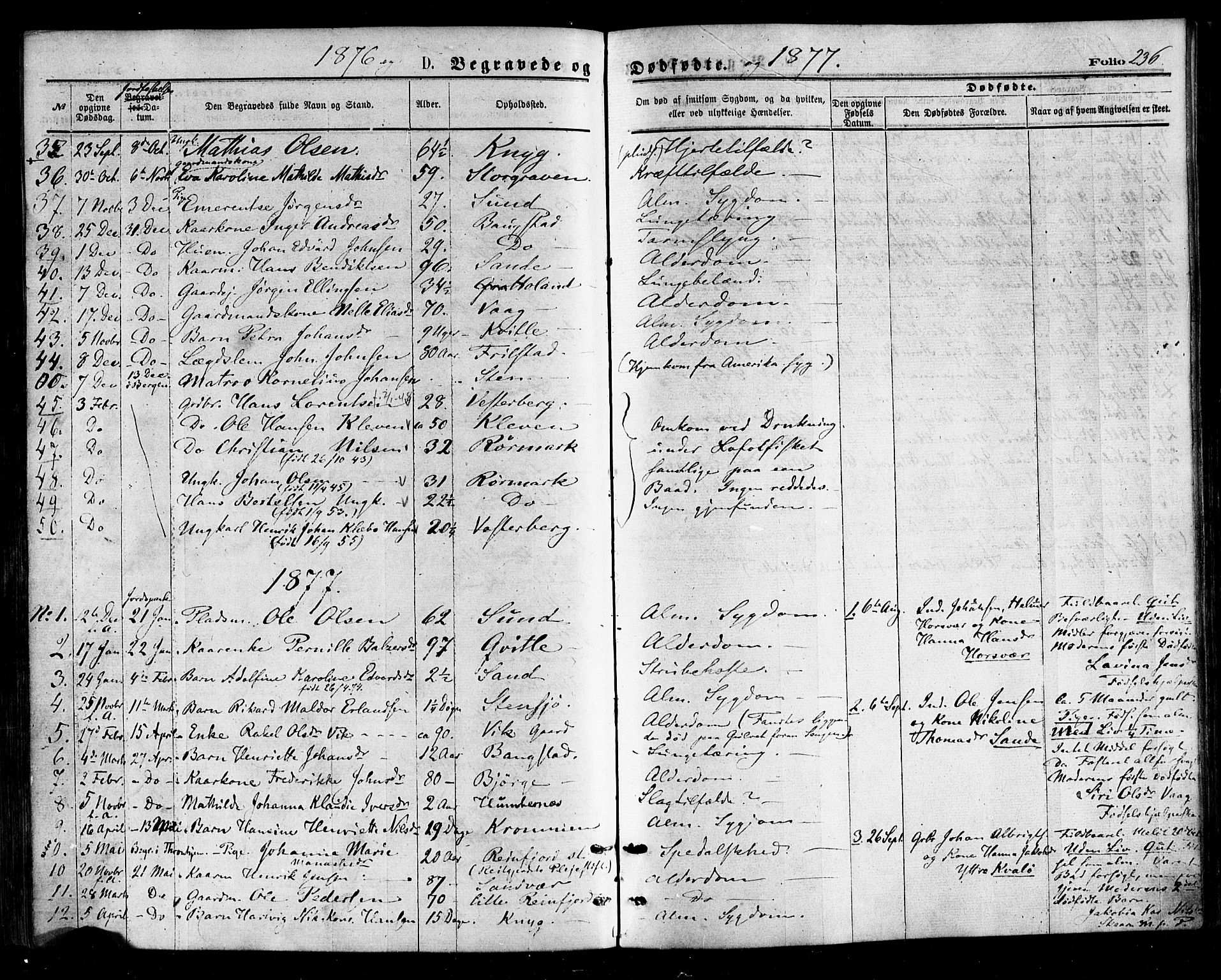 Ministerialprotokoller, klokkerbøker og fødselsregistre - Nordland, SAT/A-1459/812/L0177: Parish register (official) no. 812A06, 1875-1885, p. 236