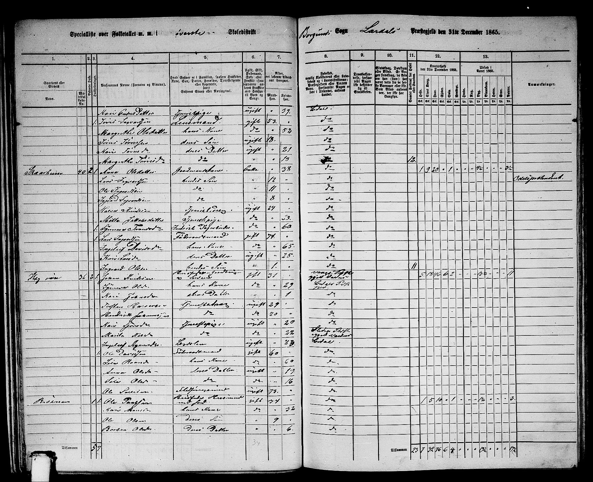 RA, 1865 census for Lærdal, 1865, p. 20