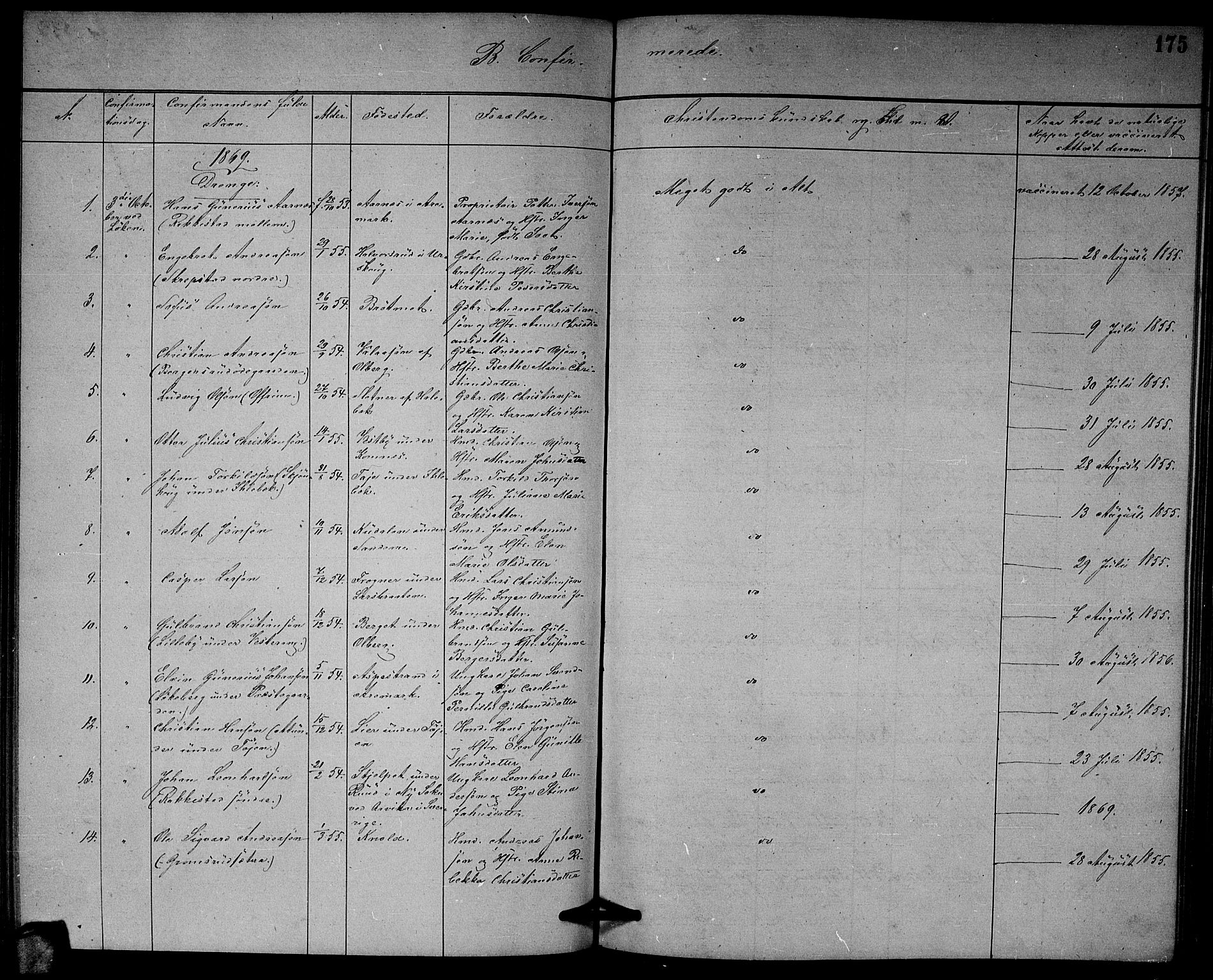 Høland prestekontor Kirkebøker, SAO/A-10346a/G/Ga/L0006: Parish register (copy) no. I 6, 1869-1879, p. 175