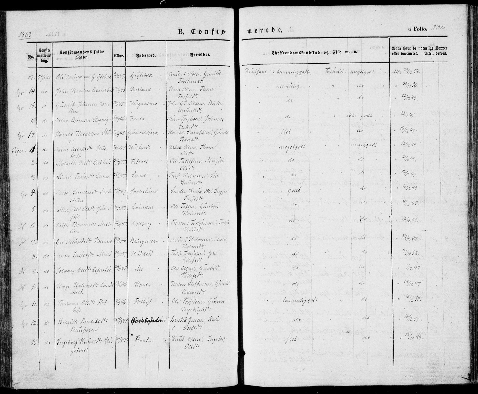 Vinje kirkebøker, SAKO/A-312/F/Fa/L0004: Parish register (official) no. I 4, 1843-1869, p. 232