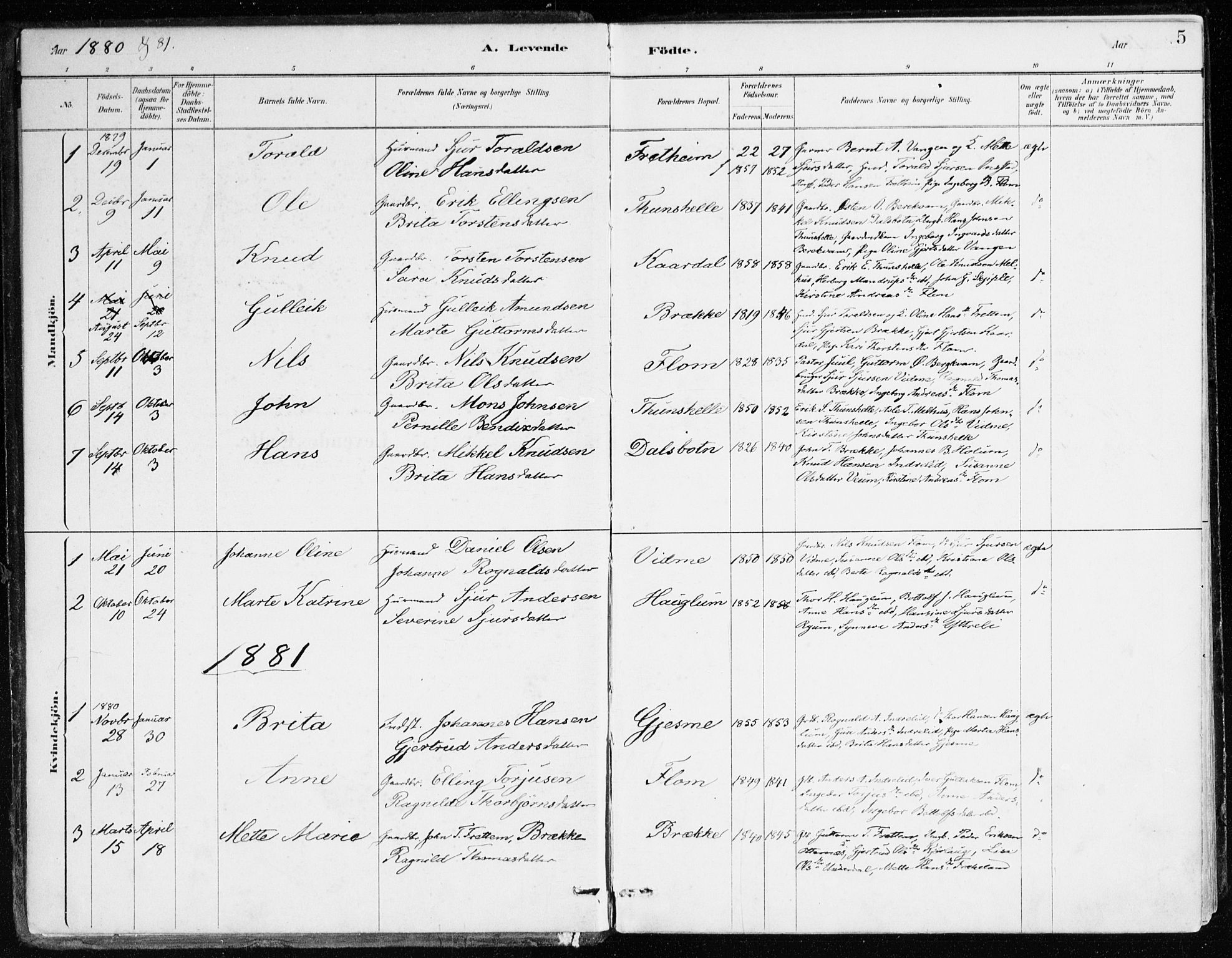 Aurland sokneprestembete, SAB/A-99937/H/Ha/Hac/L0001: Parish register (official) no. C 1, 1880-1921, p. 5