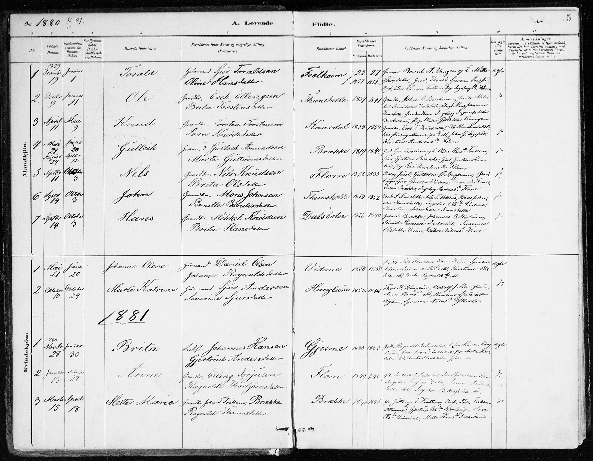 Aurland sokneprestembete, AV/SAB-A-99937/H/Ha/Hac/L0001: Parish register (official) no. C 1, 1880-1921, p. 5