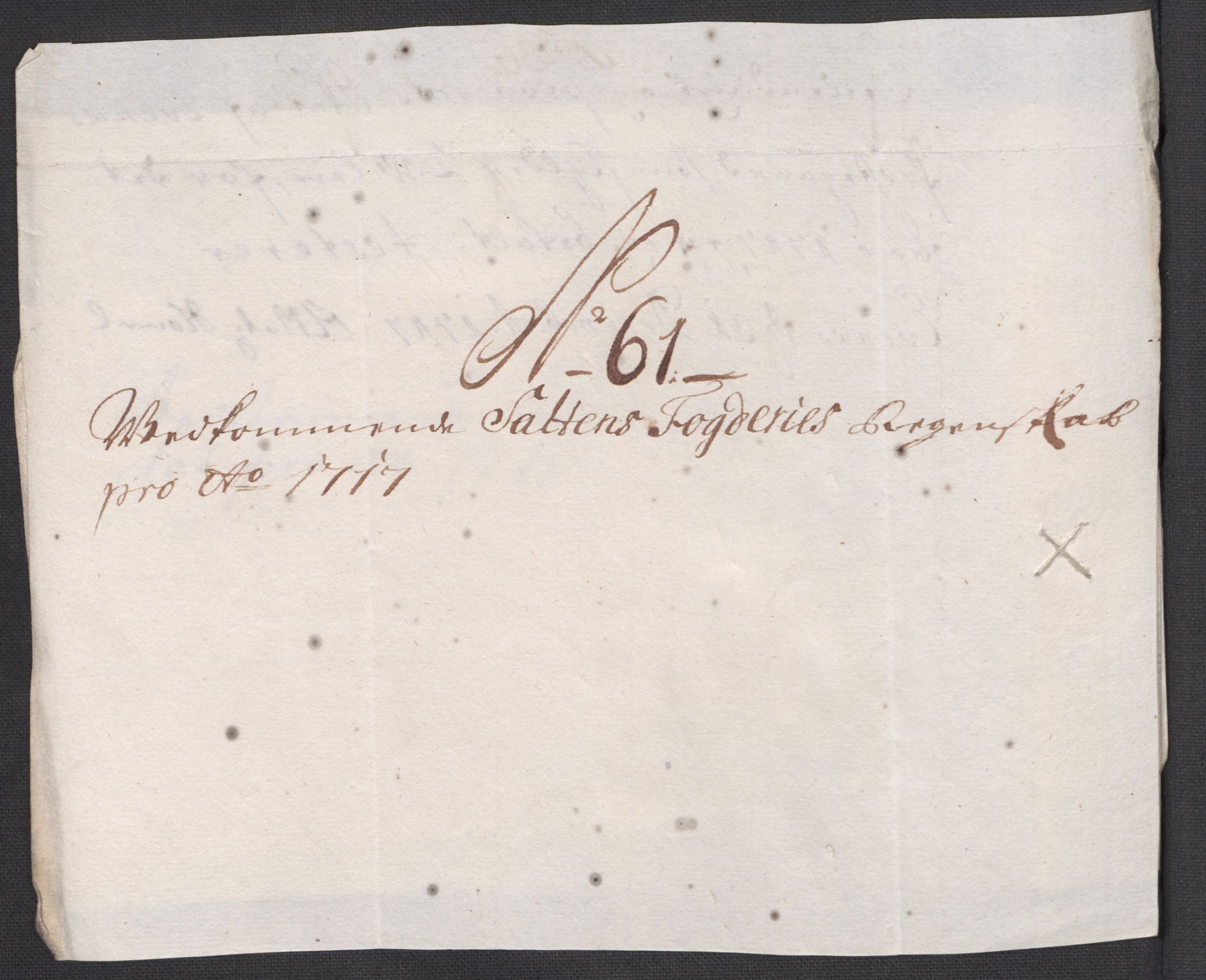 Rentekammeret inntil 1814, Reviderte regnskaper, Fogderegnskap, AV/RA-EA-4092/R66/L4587: Fogderegnskap Salten, 1717, p. 340