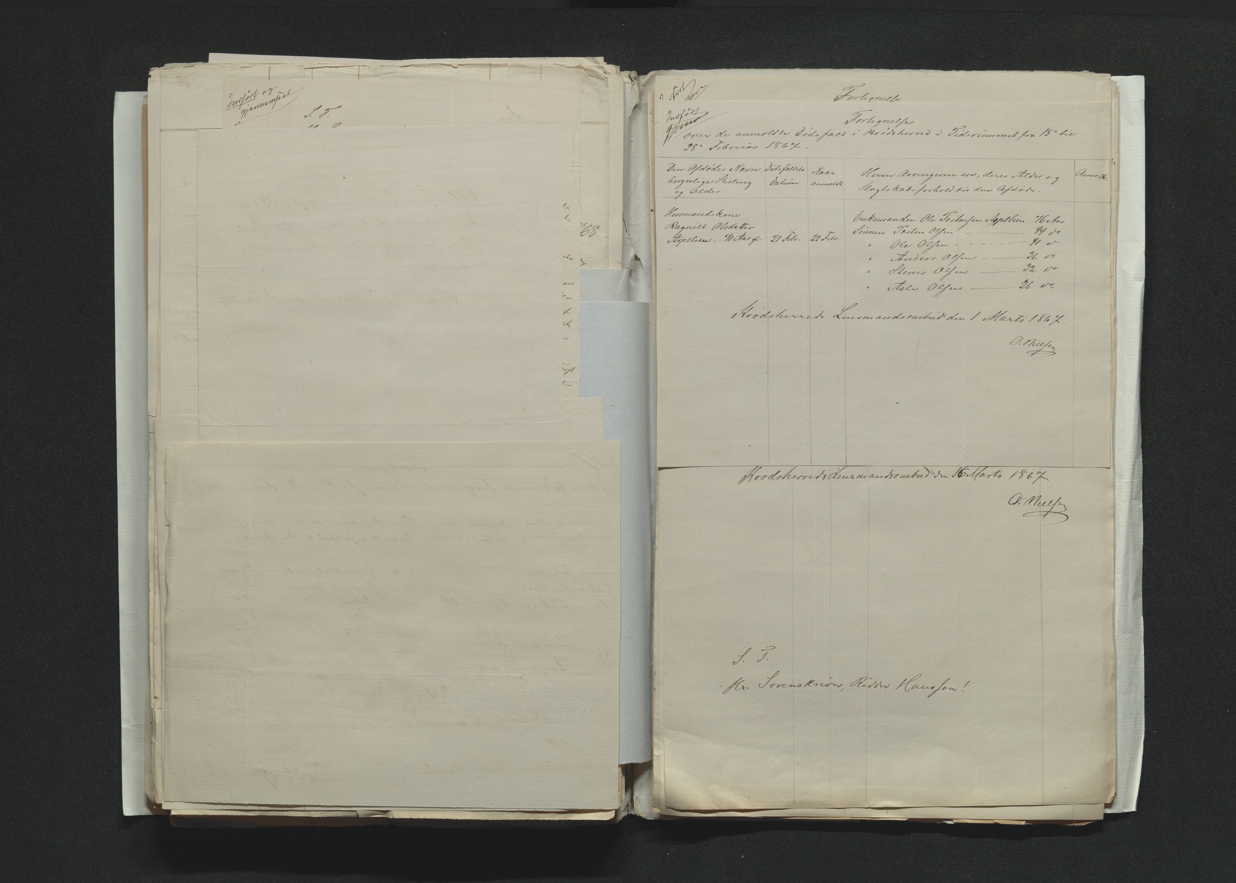 Eiker, Modum og Sigdal sorenskriveri, AV/SAKO-A-123/H/Ha/Hab/L0012: Dødsfallsmeldinger, 1866-1869, p. 316