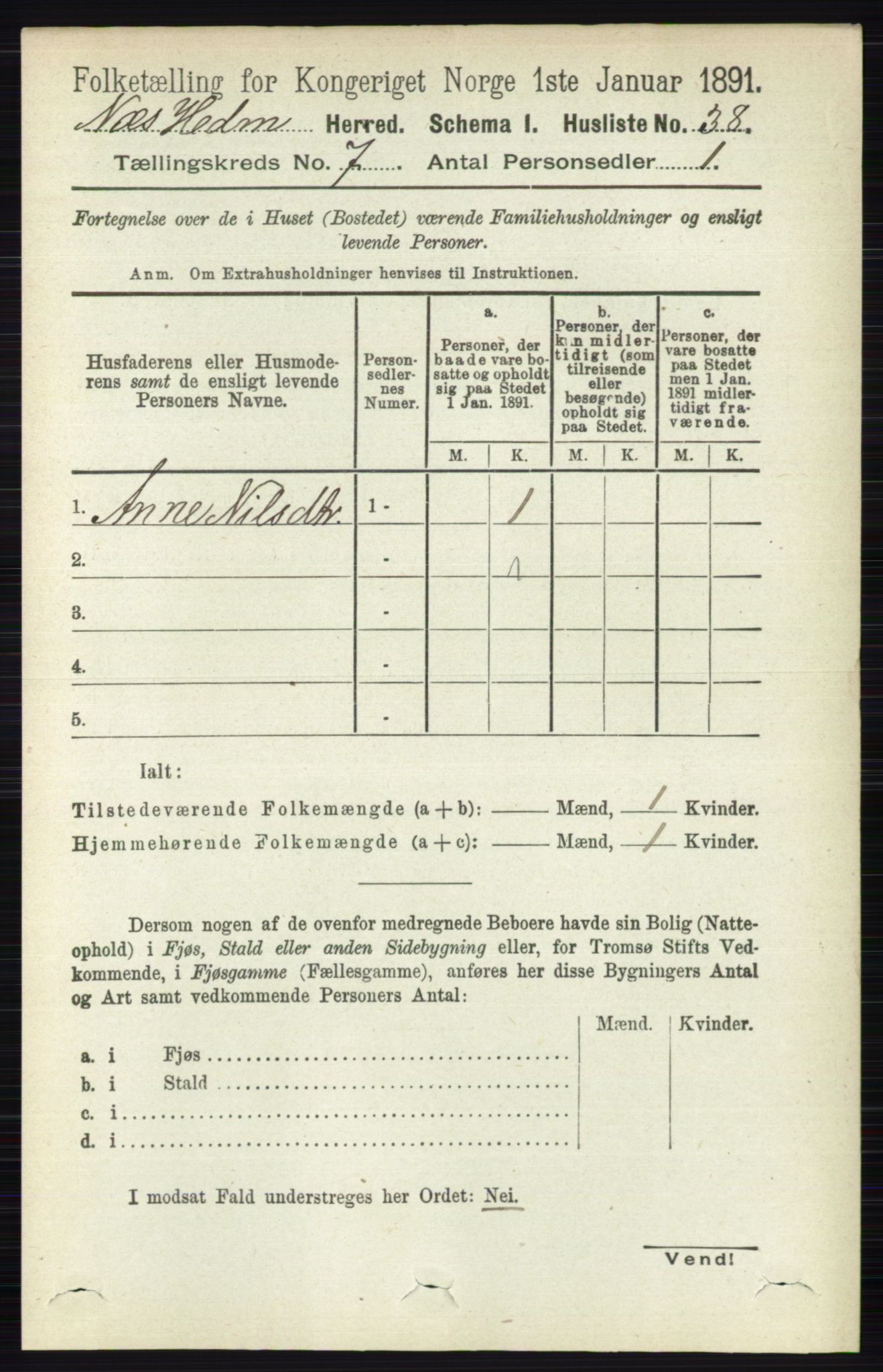 RA, 1891 census for 0411 Nes, 1891, p. 3866