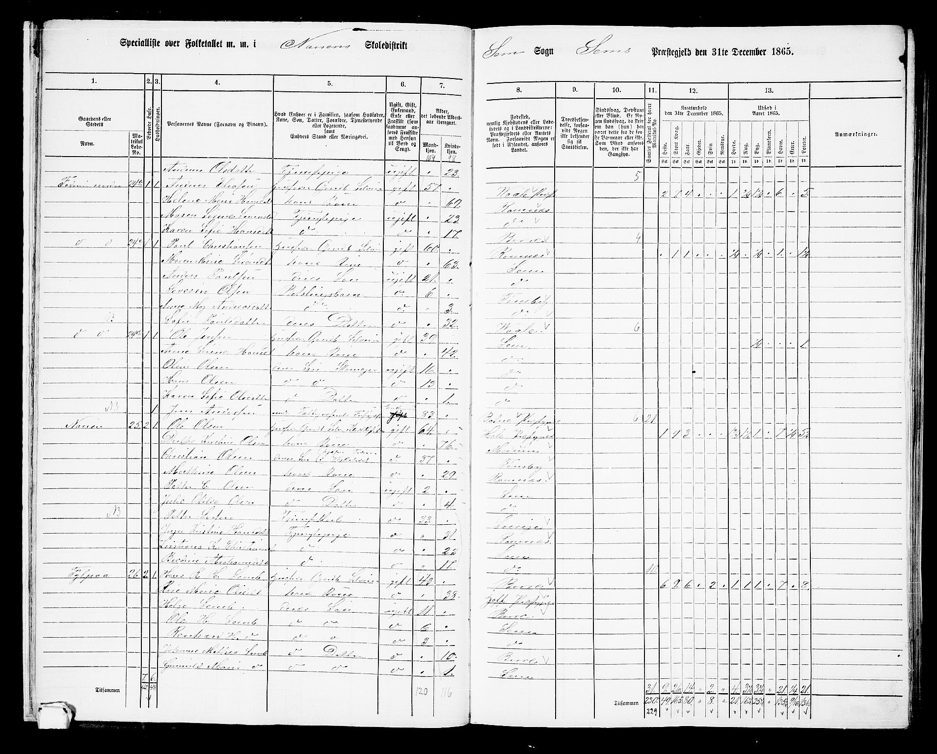 RA, 1865 census for Sem, 1865, p. 21