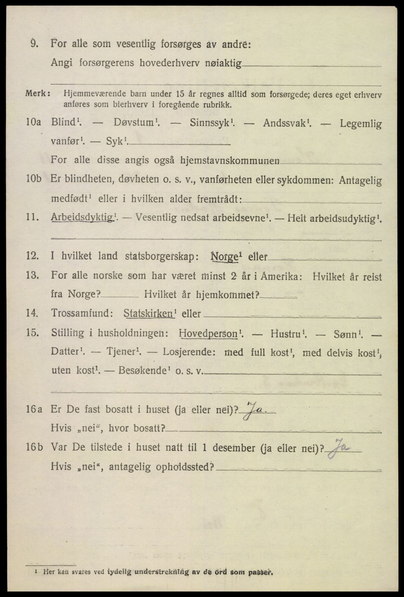 SAK, 1920 census for Hornnes, 1920, p. 2636