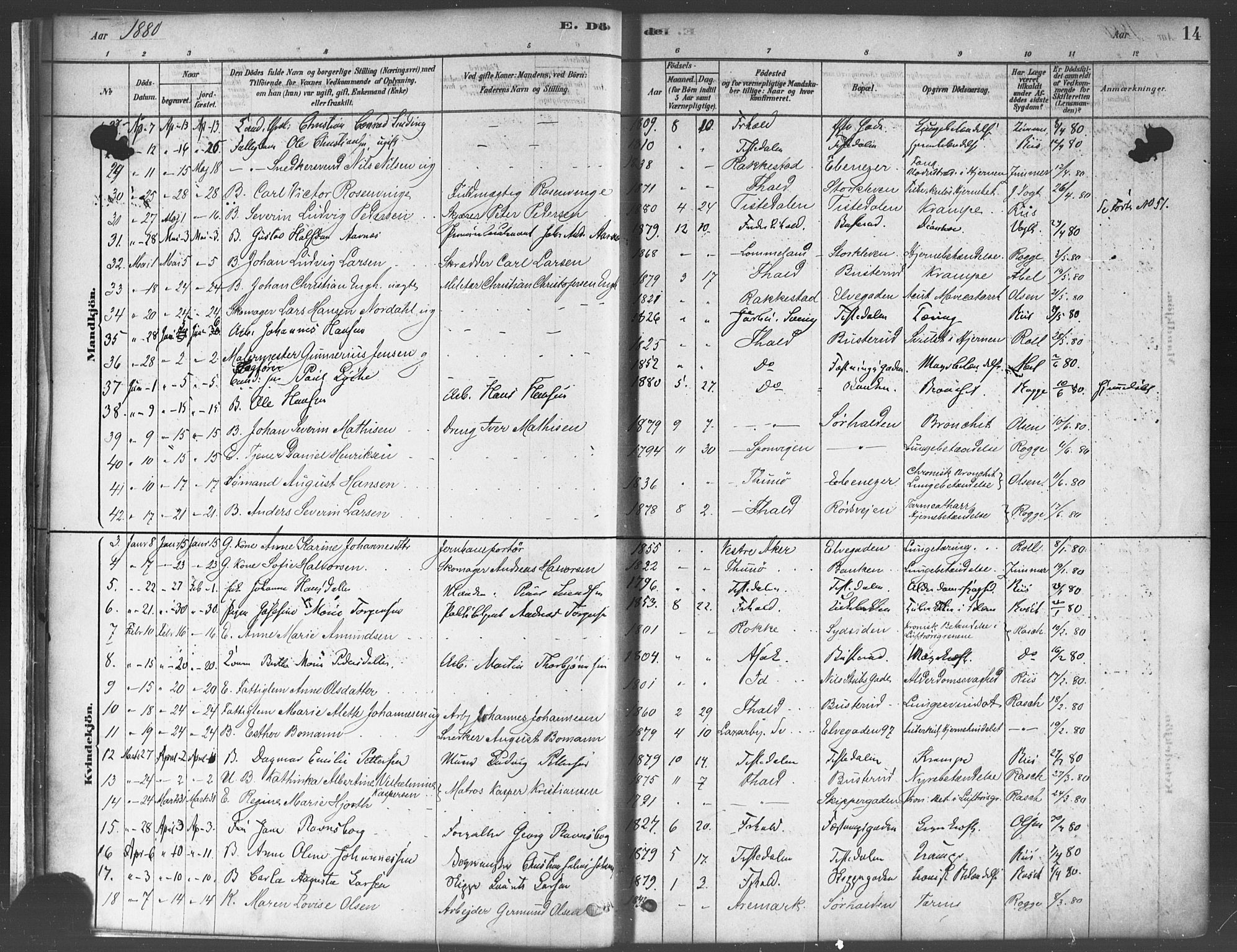 Halden prestekontor Kirkebøker, AV/SAO-A-10909/F/Fa/L0012: Parish register (official) no. I 12, 1878-1889, p. 14