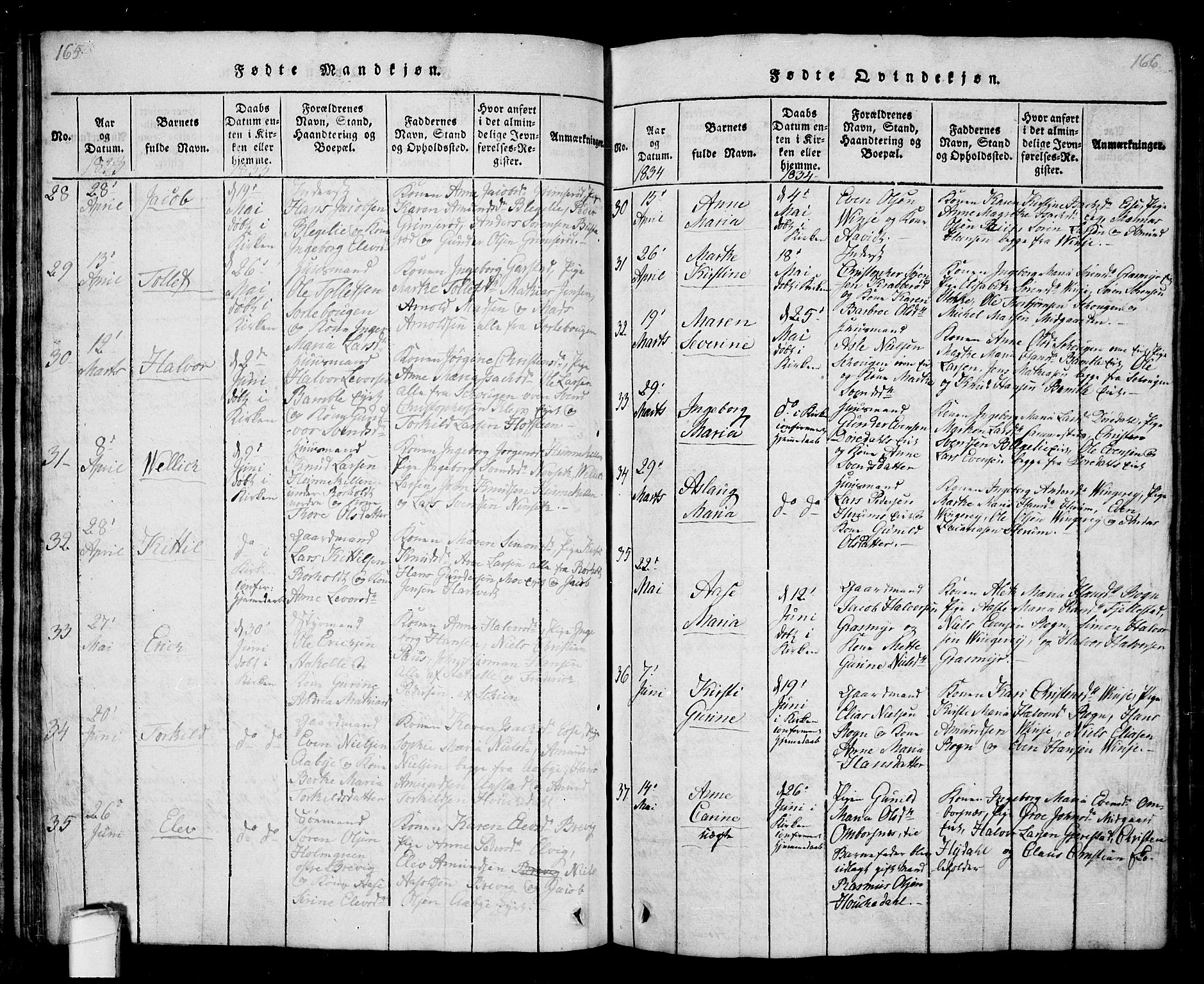 Bamble kirkebøker, AV/SAKO-A-253/G/Ga/L0005: Parish register (copy) no. I 5, 1814-1855, p. 165-166