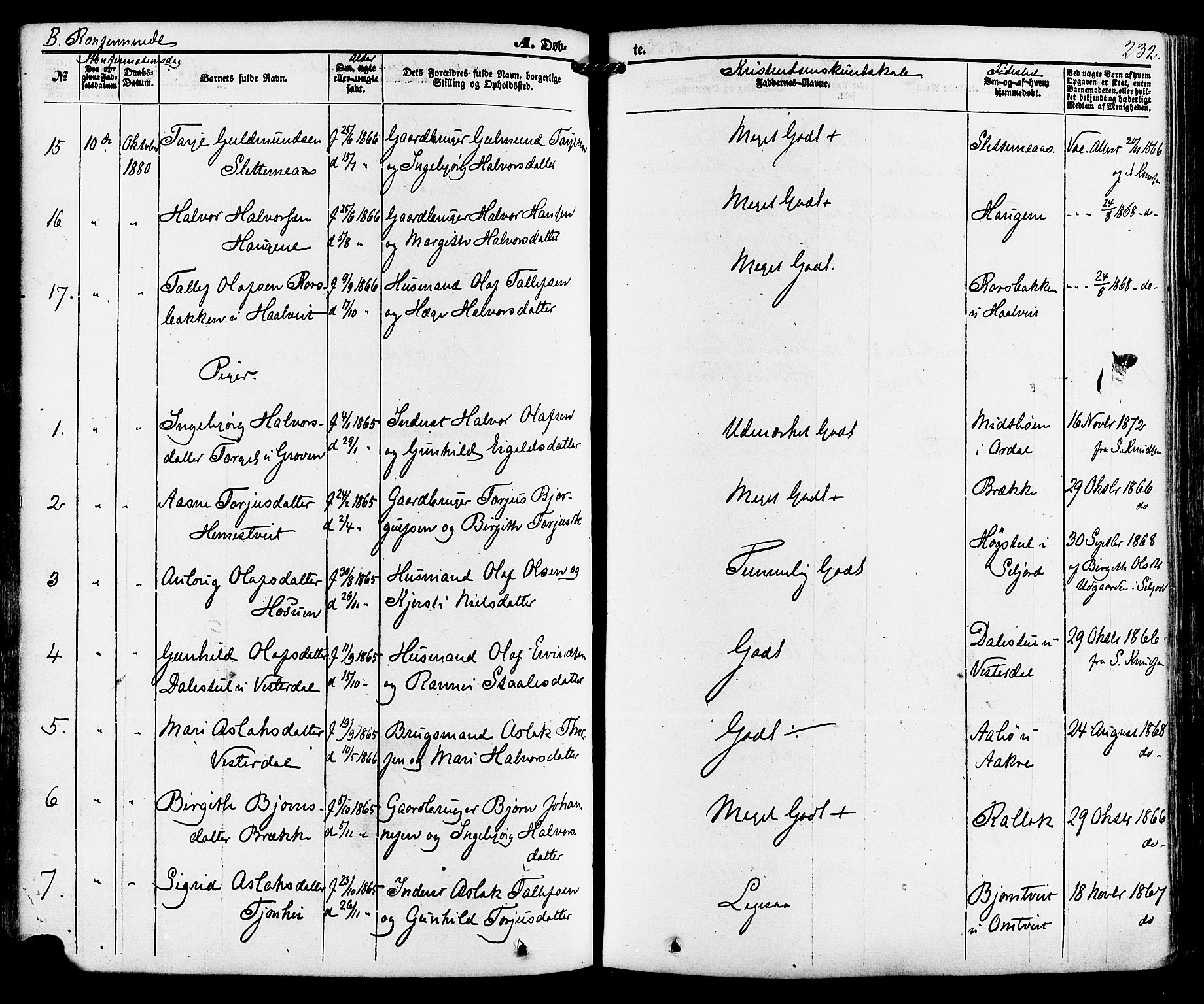 Kviteseid kirkebøker, SAKO/A-276/F/Fa/L0007: Parish register (official) no. I 7, 1859-1881, p. 232