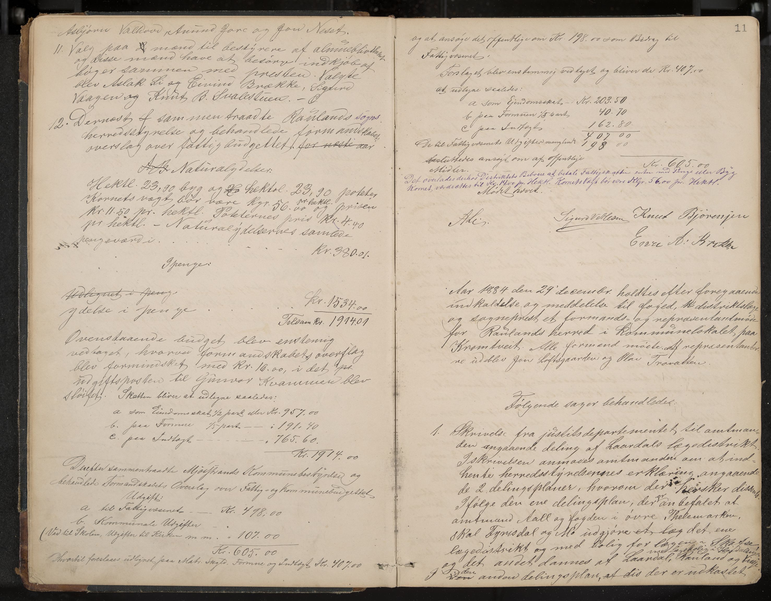 Rauland formannskap og sentraladministrasjon, IKAK/0835021/A/Aa/L0002: Møtebok, 1884-1908, p. 11