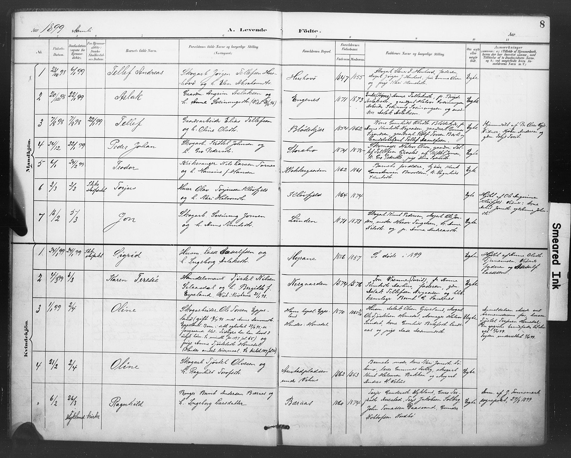 Åmli sokneprestkontor, SAK/1111-0050/F/Fa/Fac/L0011: Parish register (official) no. A 11, 1898-1899, p. 8